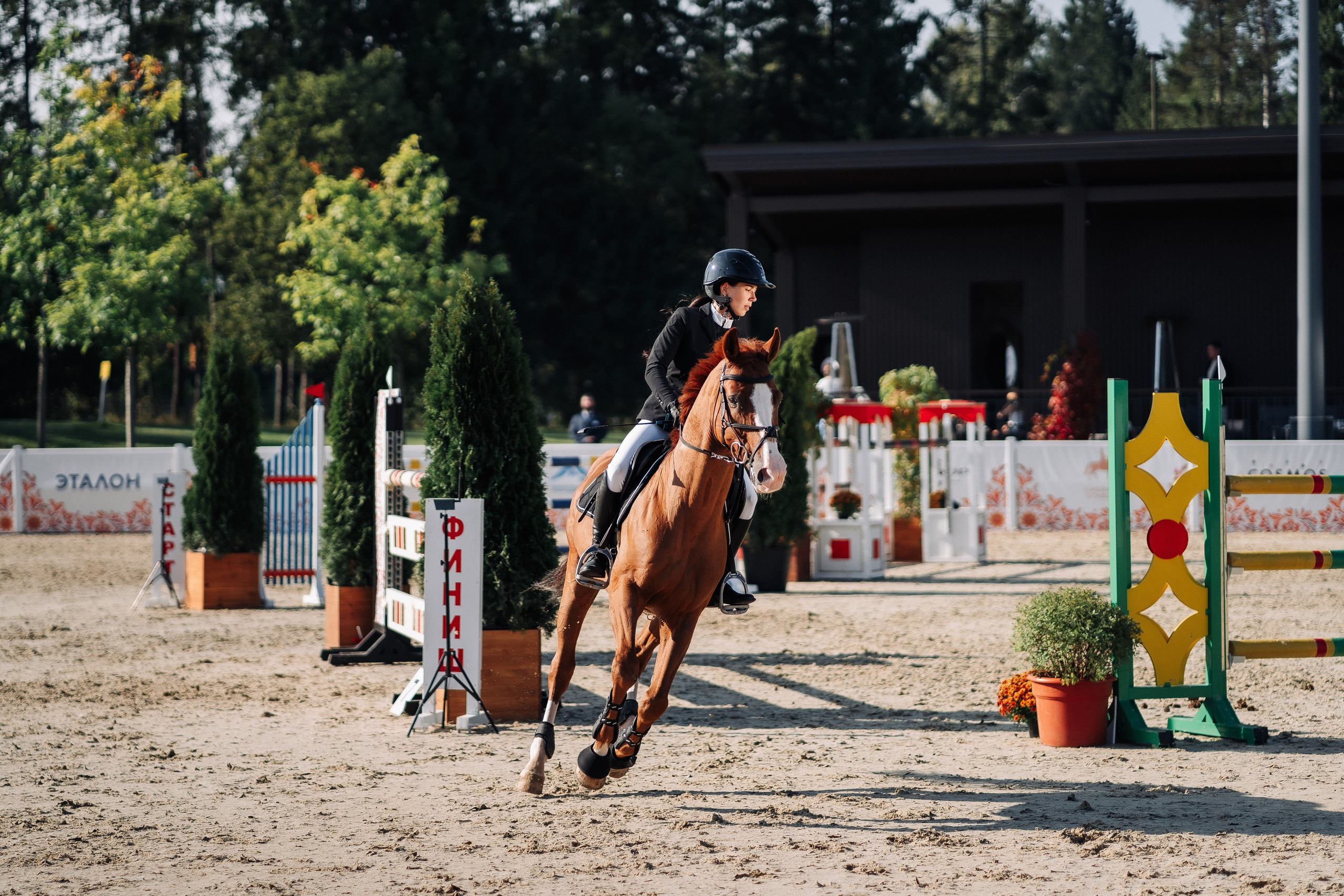 Конкур По-Русски в Emerald stables. Свадебный и семейный фотограф в Москве и МО Геннадий Туманцев