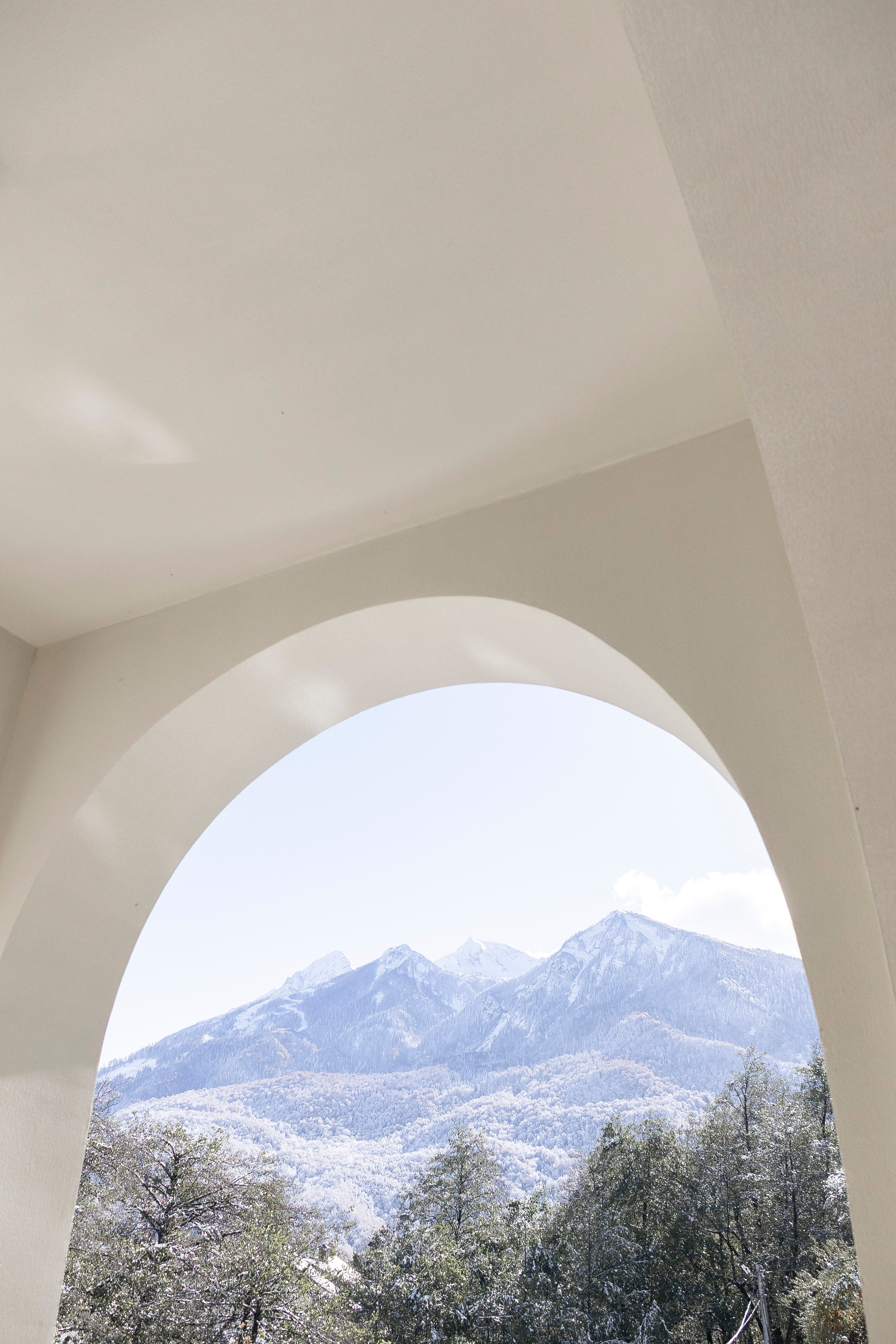 2 цветка. Фотограф Антон Горин