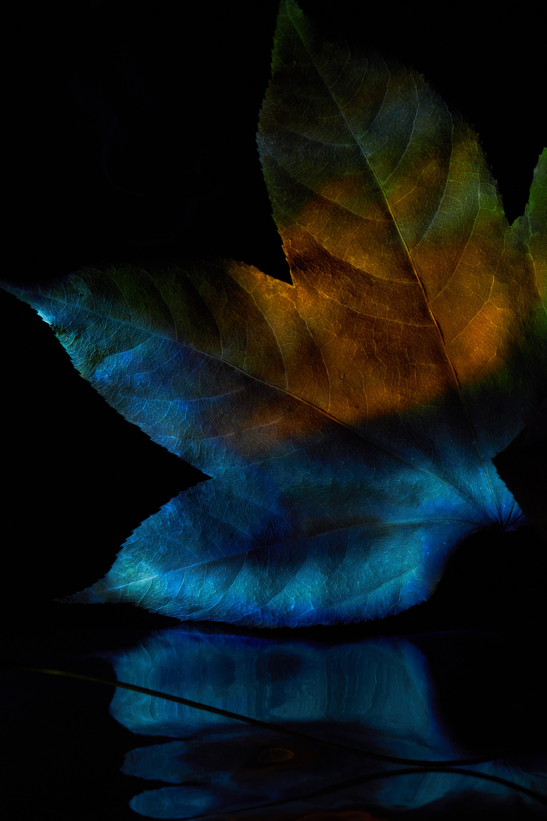 «Красок Тьма Полна». Арт-фотограф во Владивостоке Дмитрий Осипчук