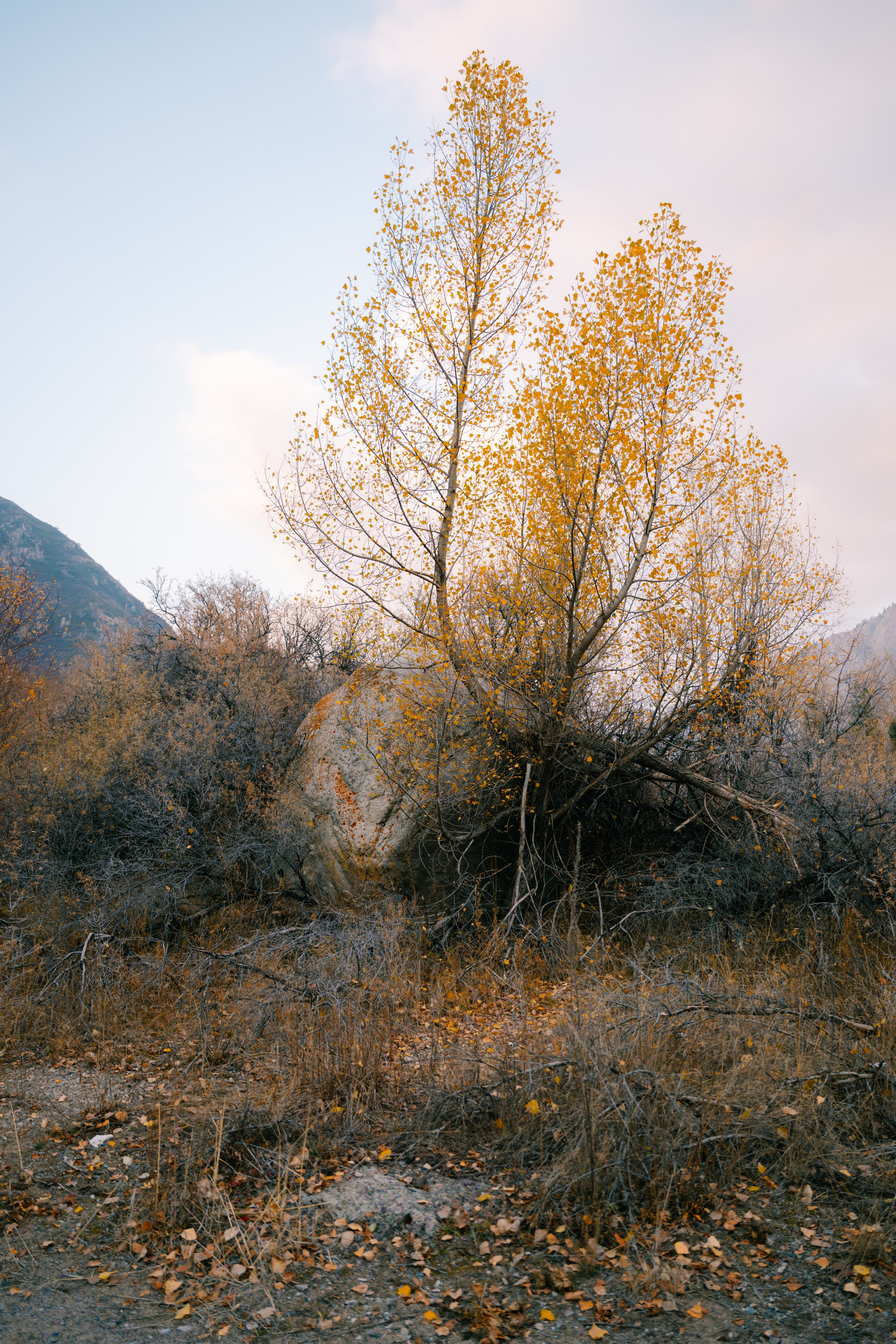 Озеро Иссык, осень 2025. Фотограф в Алматы — Алексей Коньков | Репортаж, свадьбы, портреты