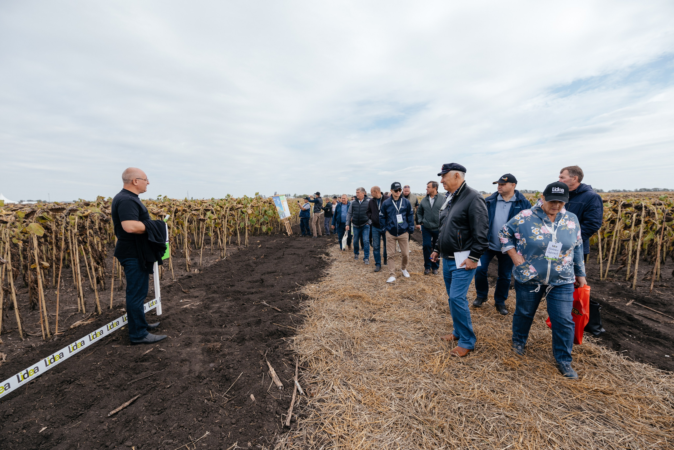 День поля. Фотограф Крохин Олег