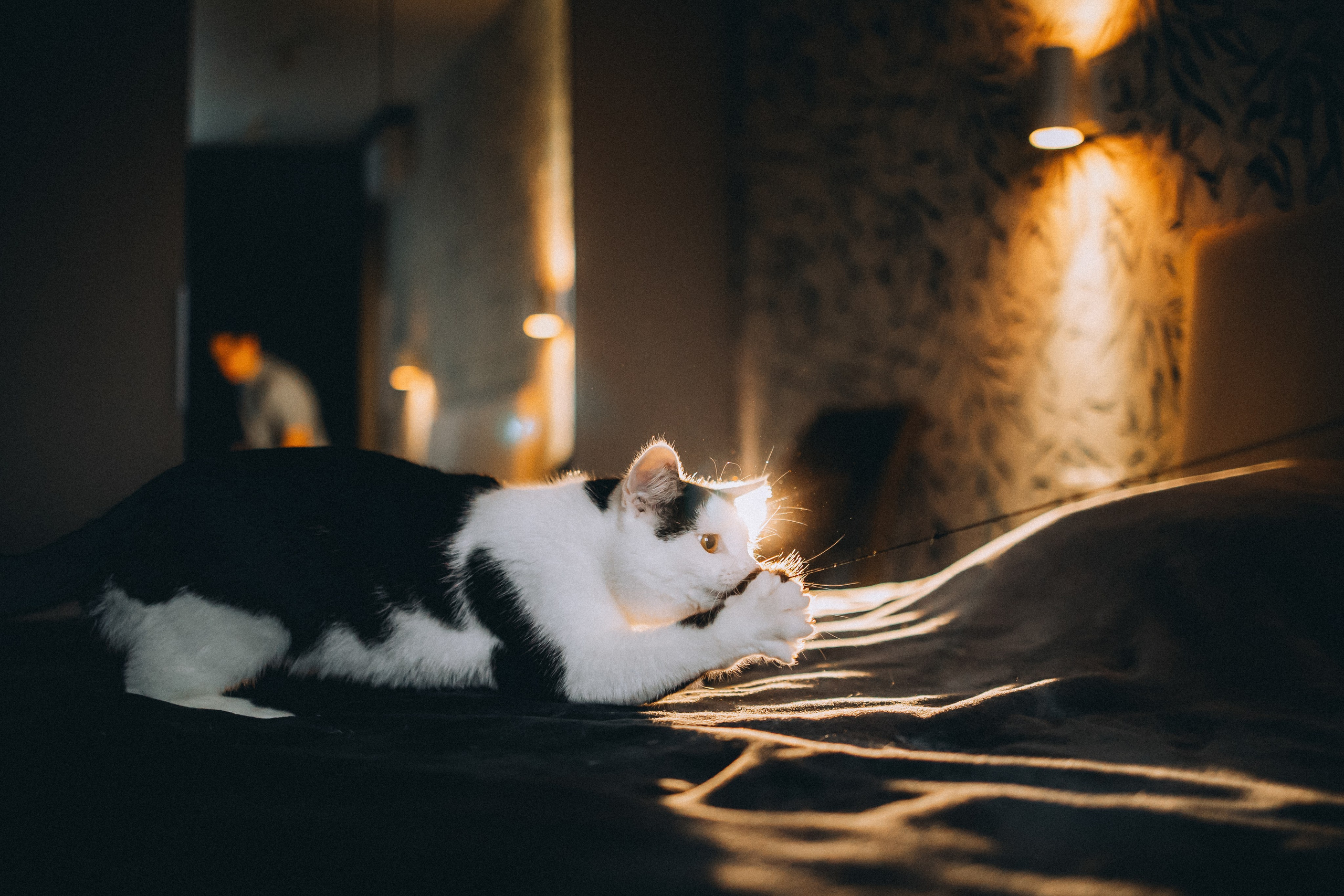 Рыся, Кепа и их семья