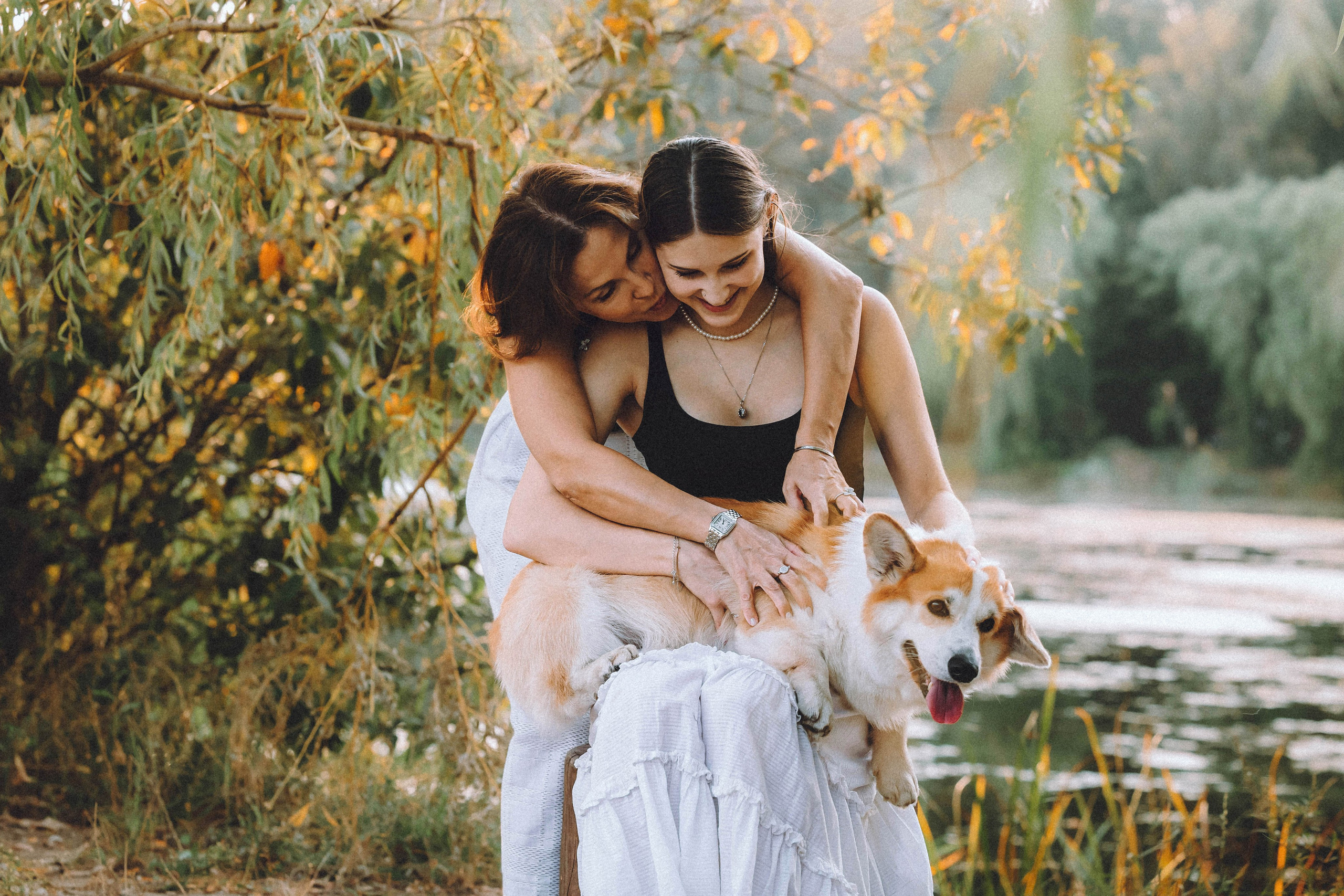 Арчи и его семья