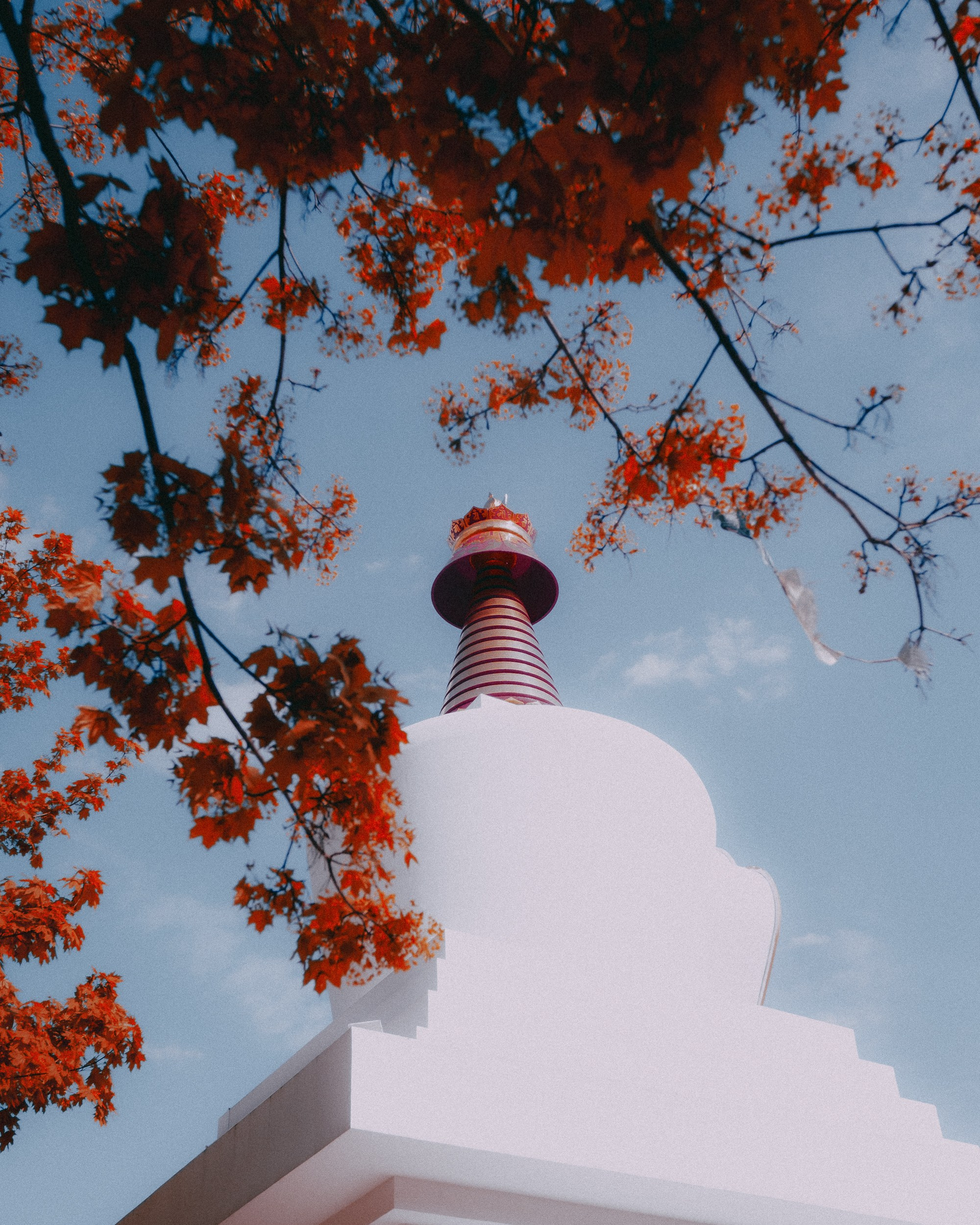 Ступа. Фёдор Малюгин. Ваш бади в визуале