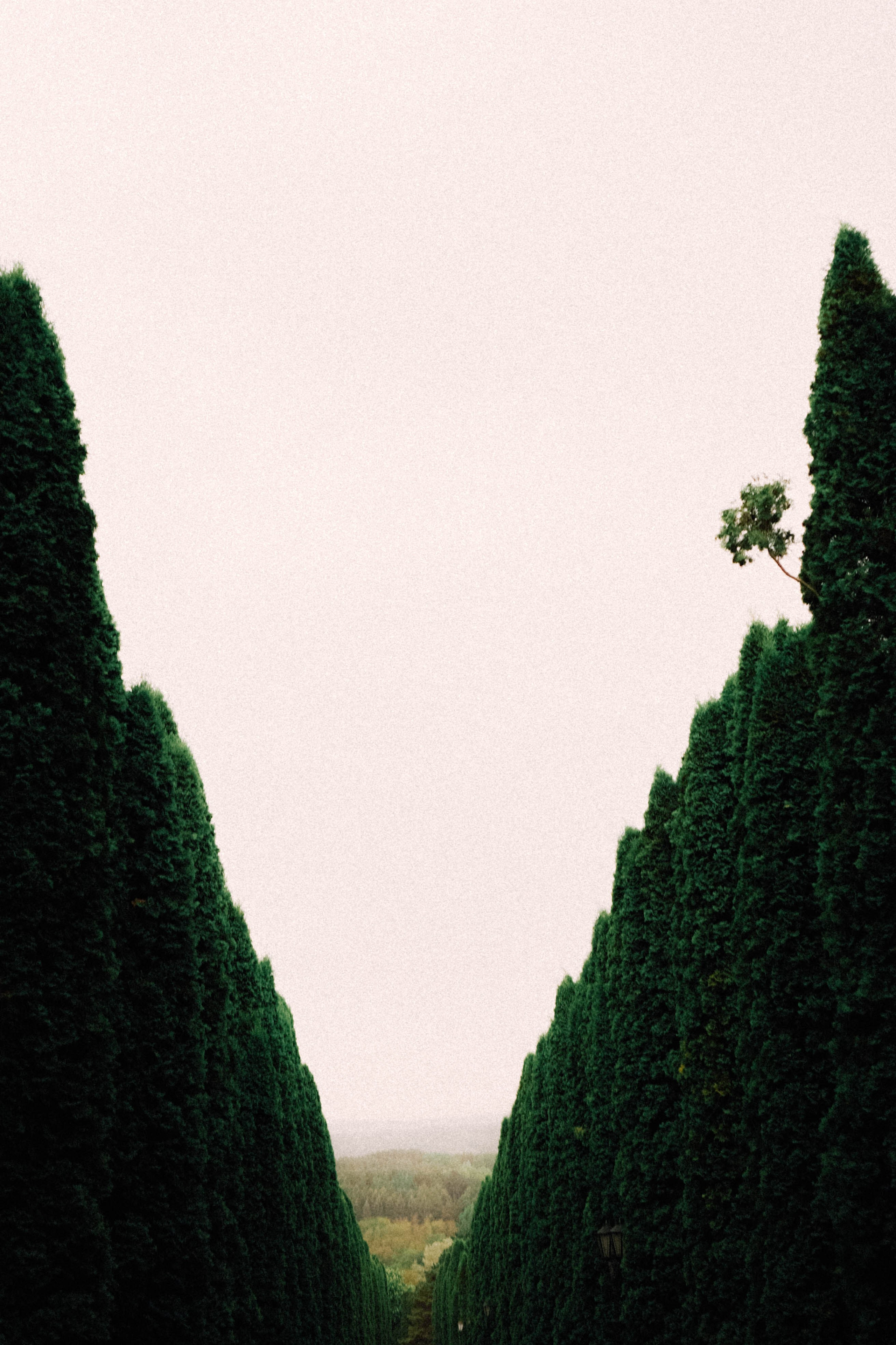 КИСЛОВОДСК. Профессиональный фотограф, Санкт-Петербург — Виктория Богомолова