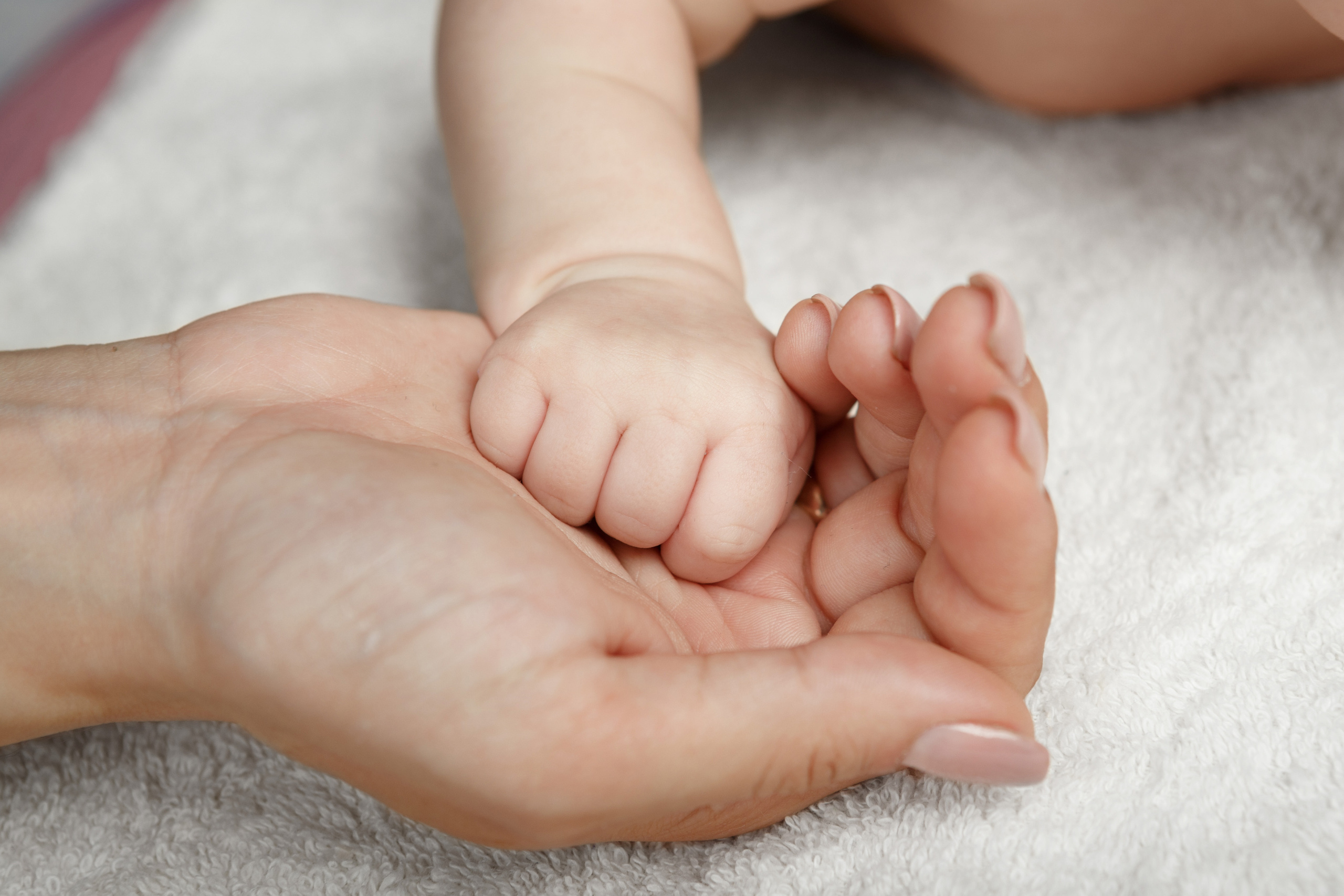 Первая съемка малышки. Фотограф Андрей Лёвкин