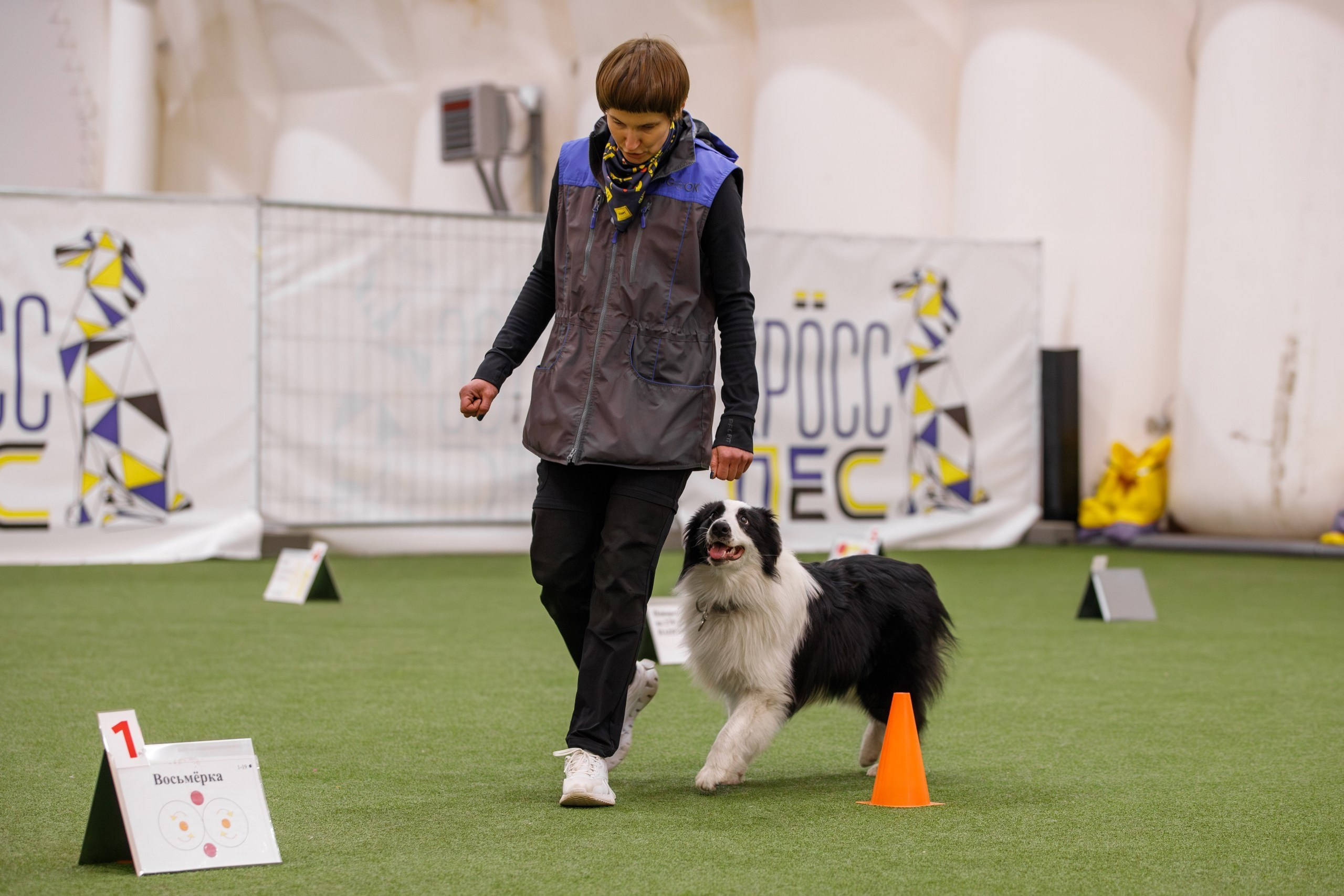 Карныш. BLGKV питомник собак