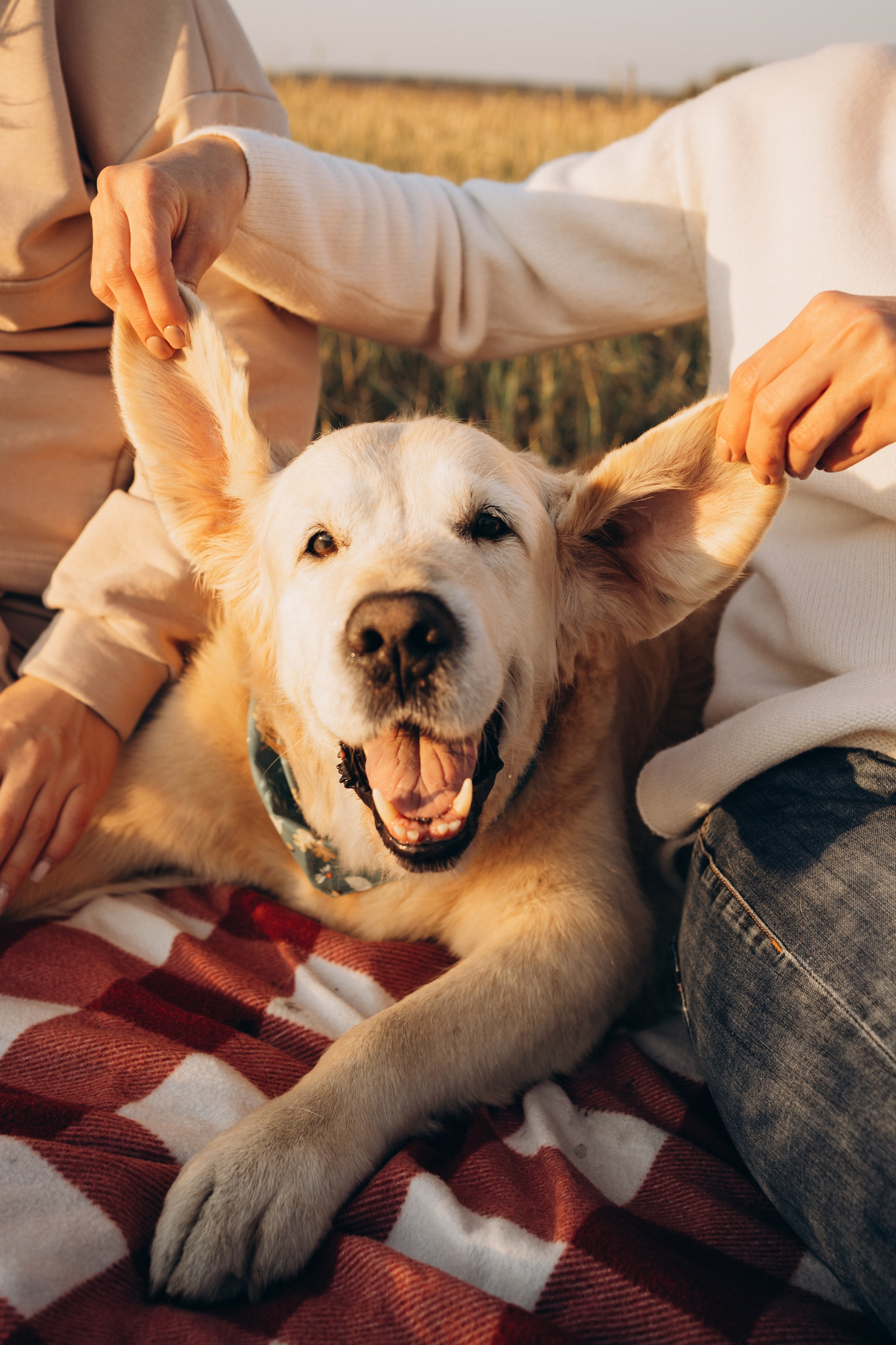 Дарья, Люба и Ред. Фотограф-анималист Анастасия Большакова