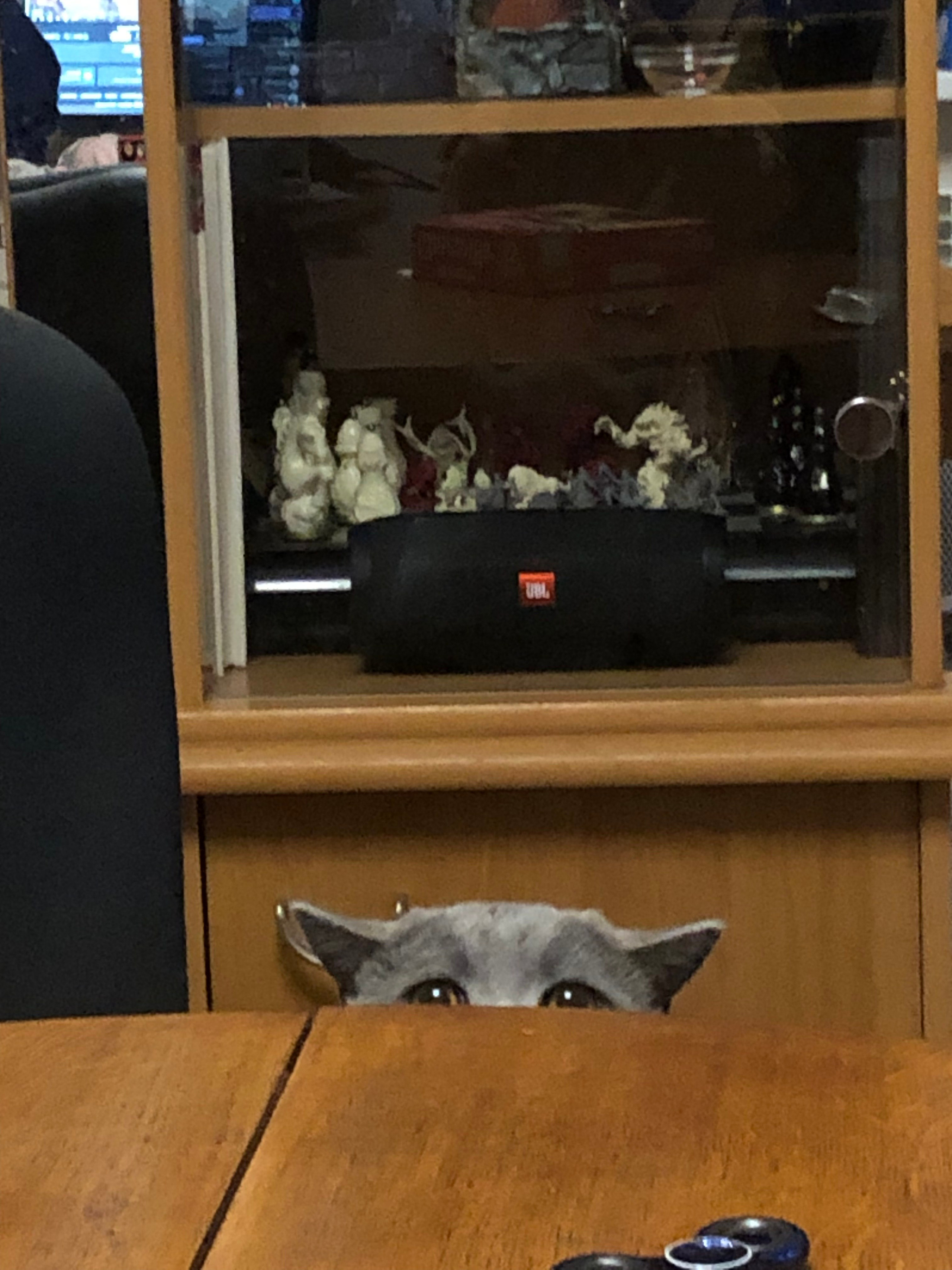 Ноябрь. Семейный, Свадебный фотограф СПБ Питер— Романова Екатерина