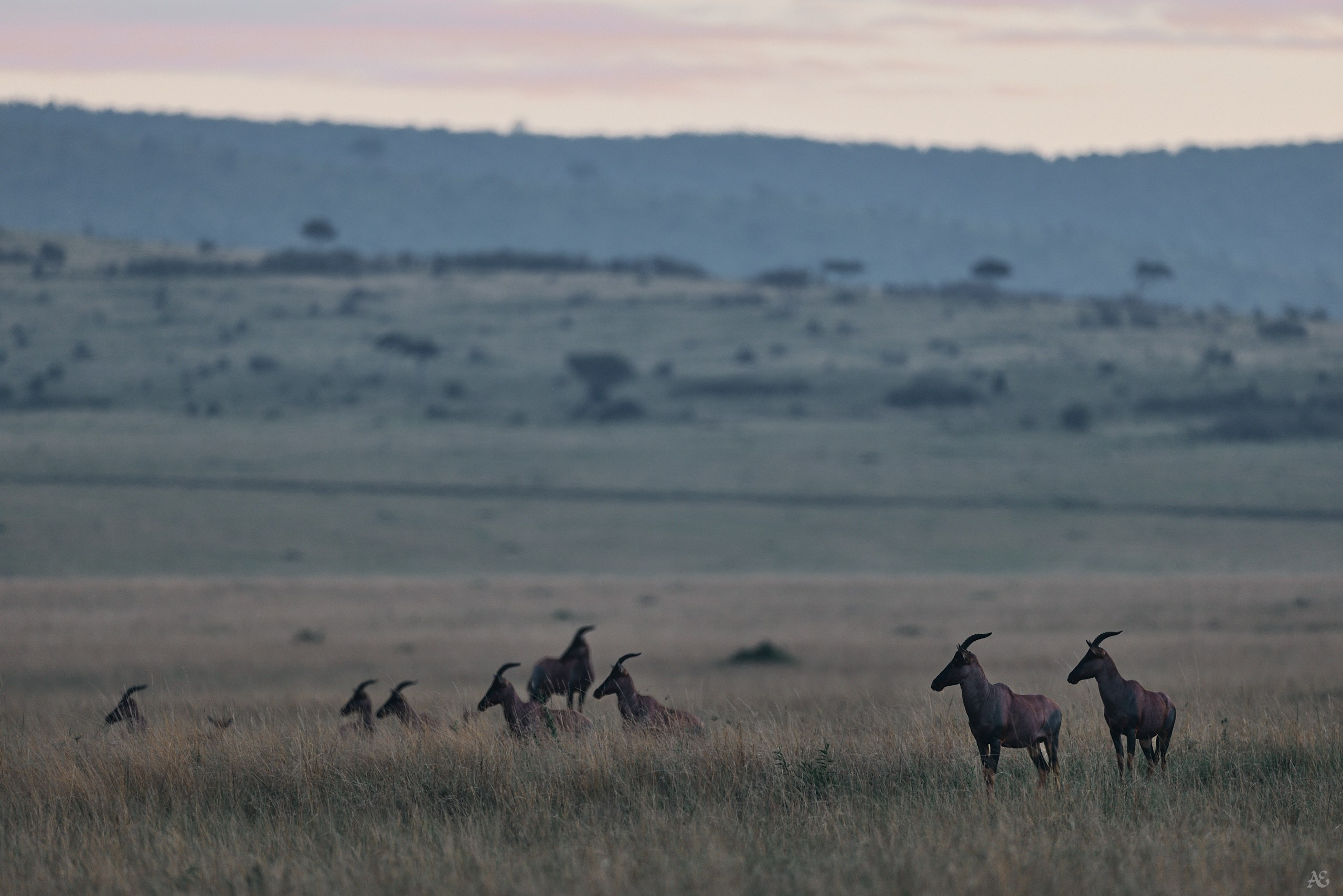 Равнение налево!