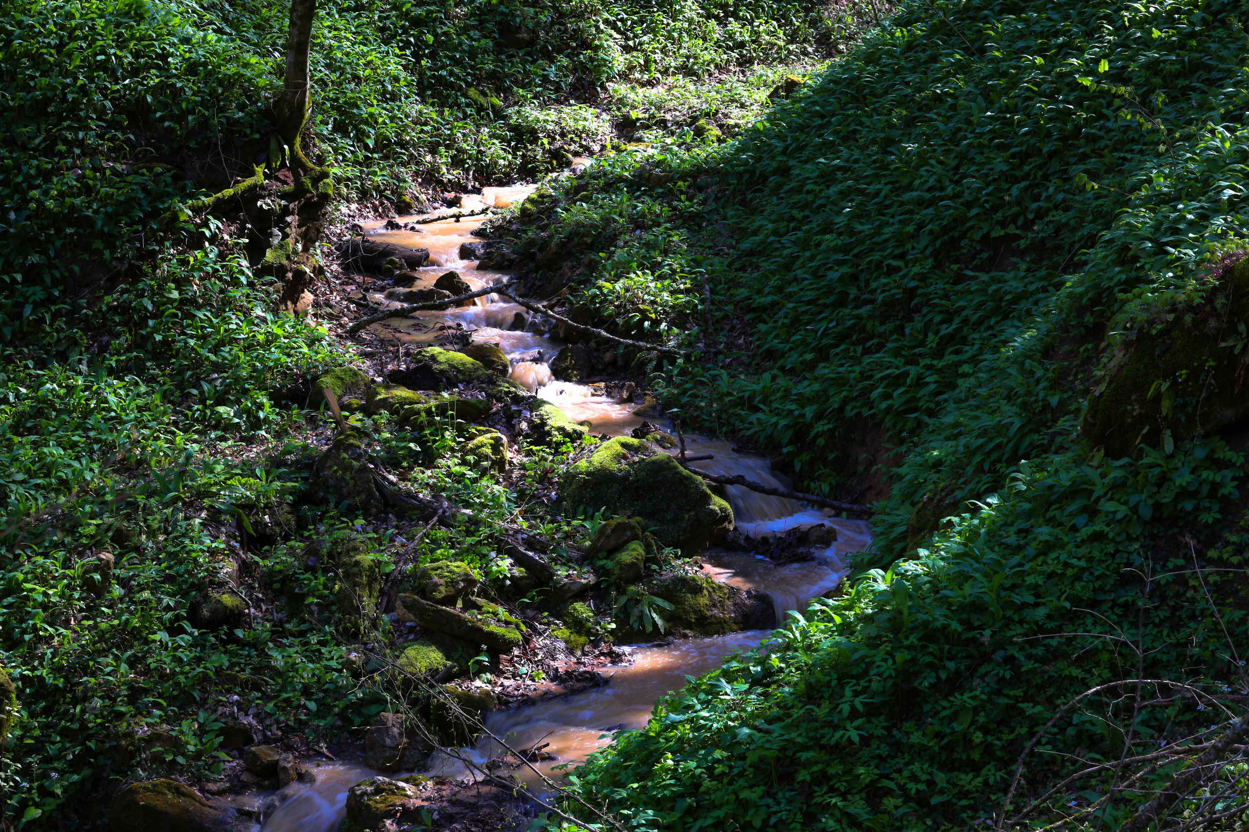 Фотограф Мария Алексеева. Мария Алексеева. Фотограф в Москве