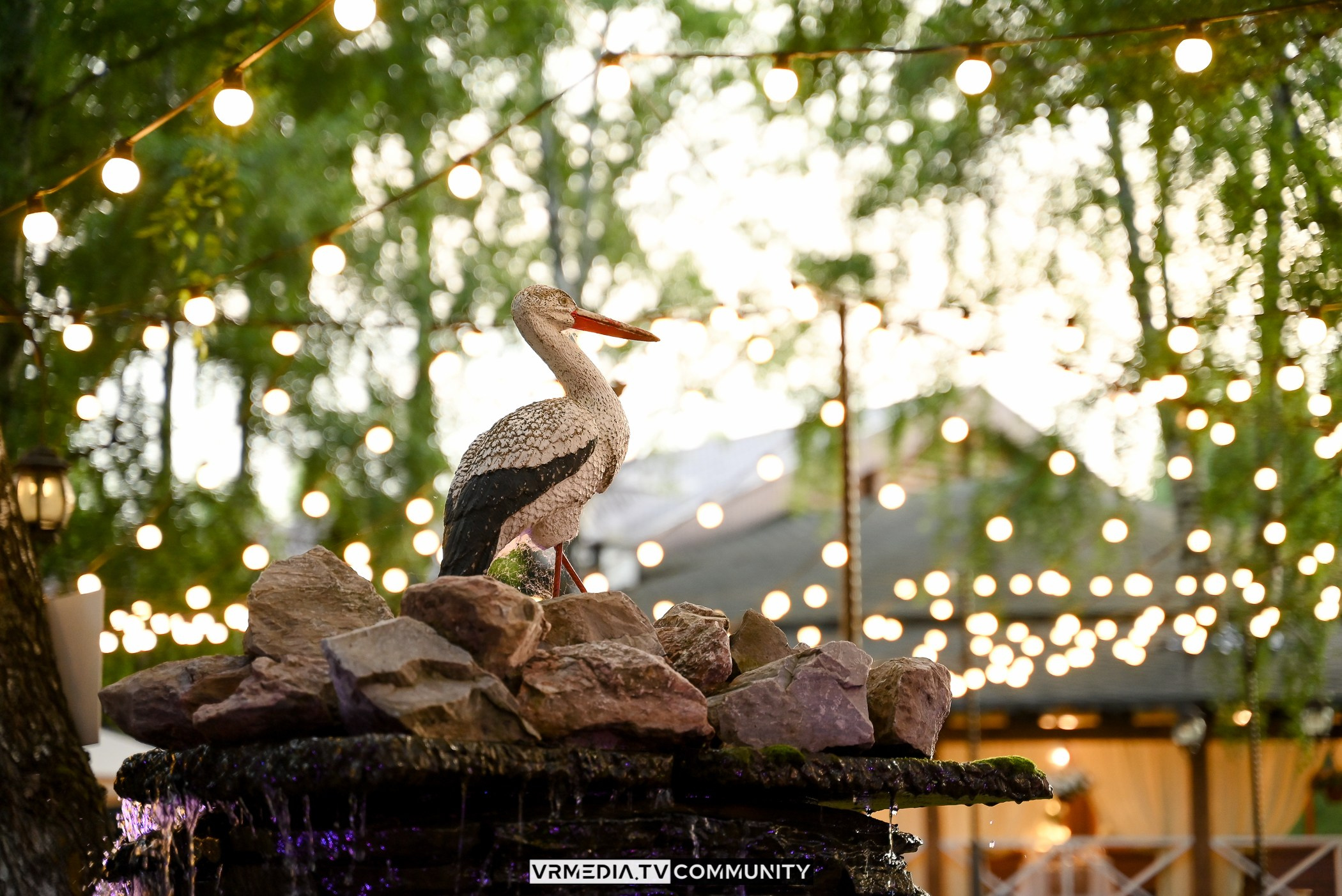 В гостях «У Петровича»