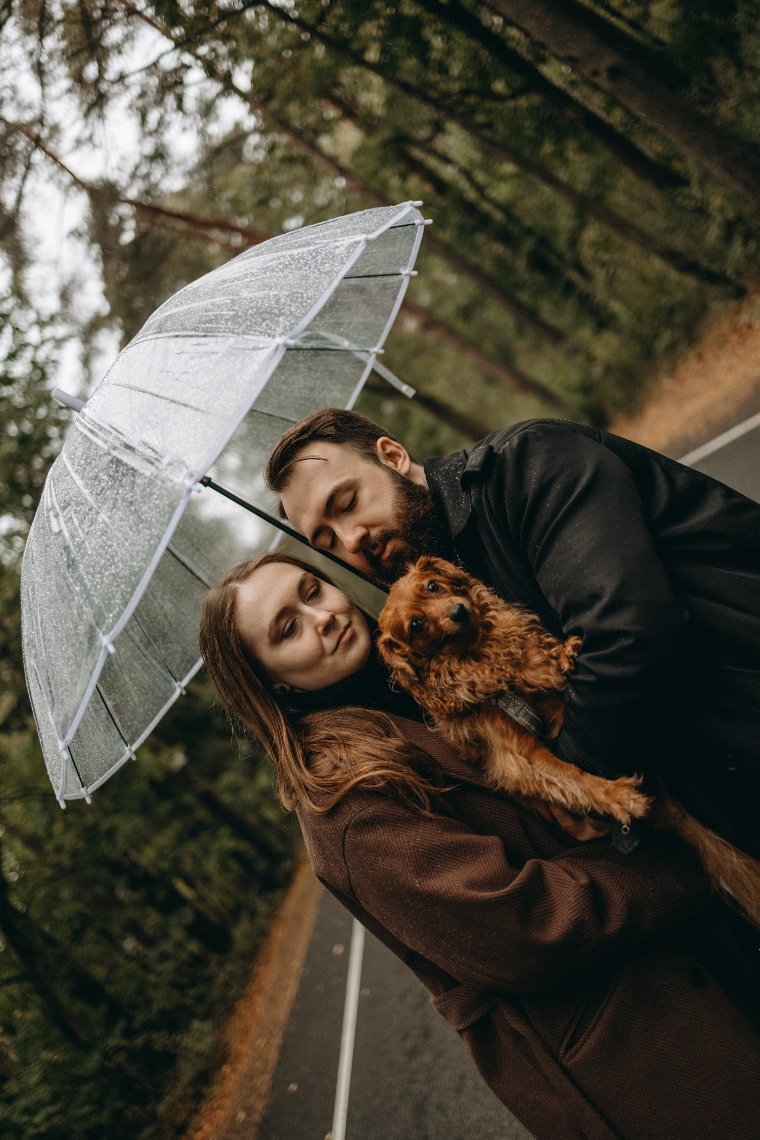 Жу и ее семья. Фотограф — Анималист | Санкт-Петербург