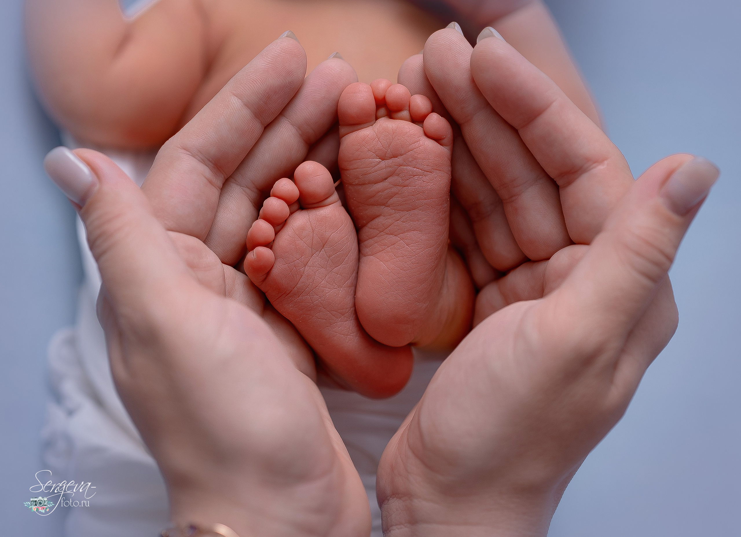 Софья 7 дней. Фотограф новорожденных в Нижнем Новгороде Сергеева Оксана