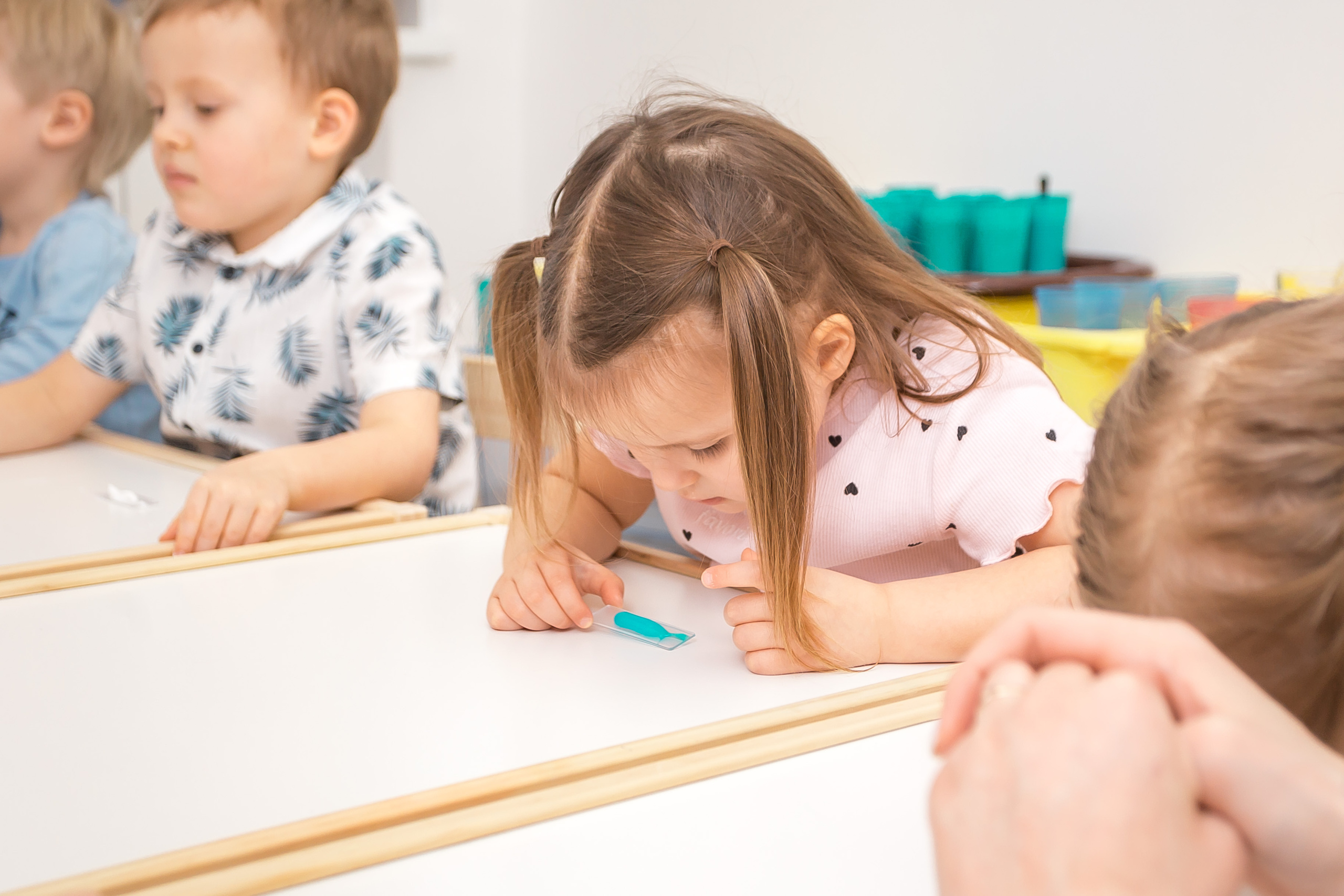 Сканди Сад. Фотографиня Мария Дикова