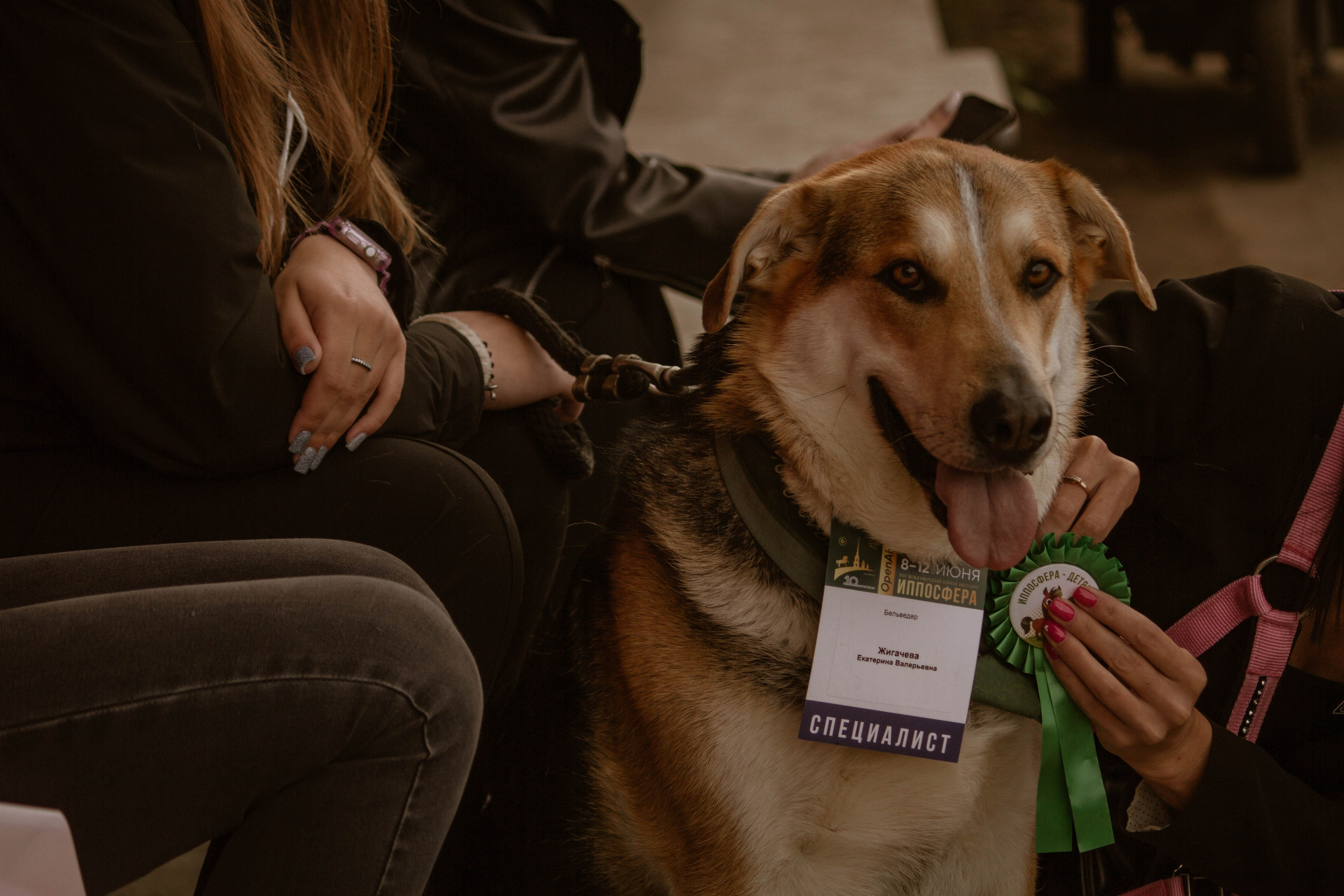 ИППОСФЕРА — Международная конная выставка. Создадим шедевр? Виталина и её фотоискусство