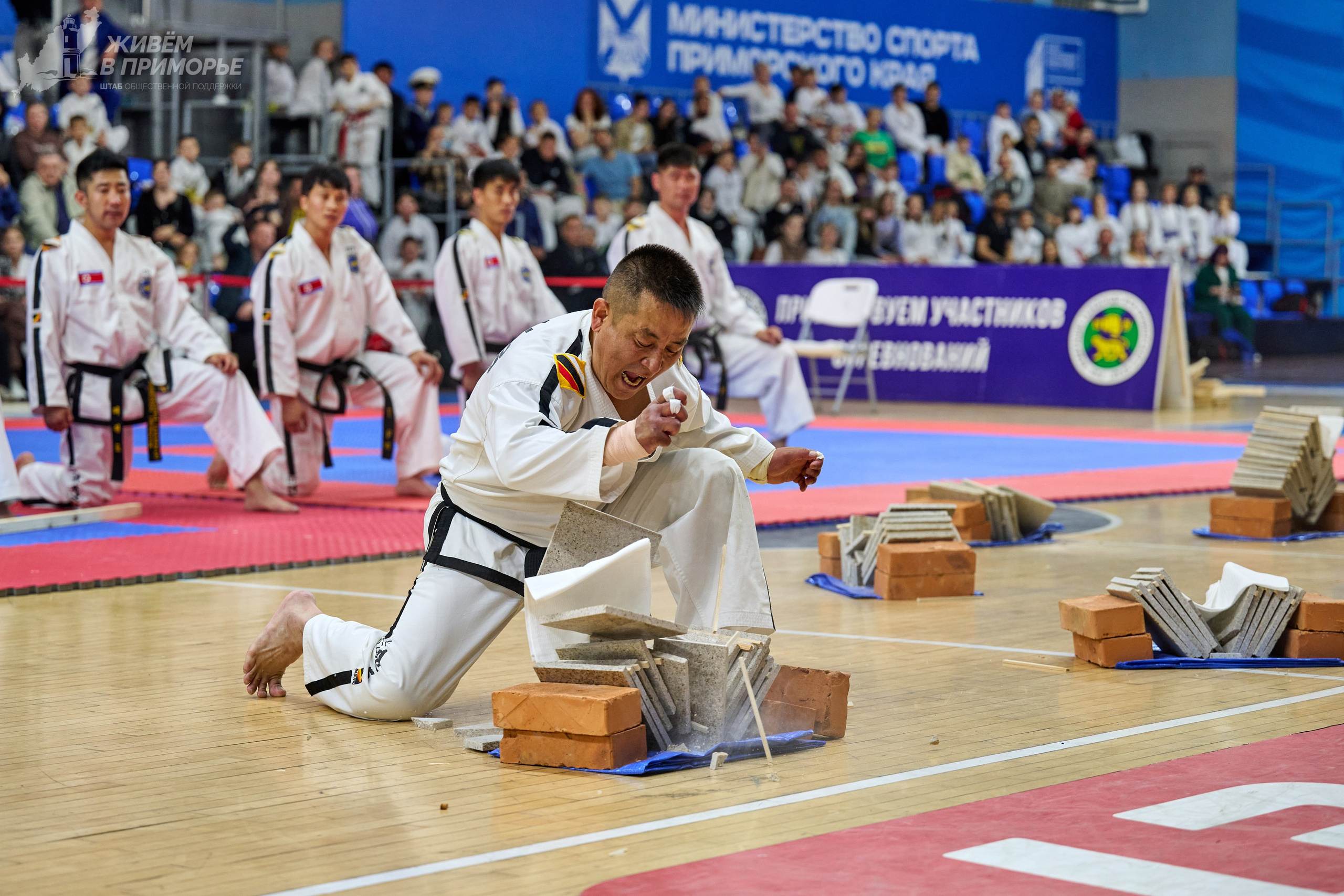 Кубок губернатора по тхэквондо. Профессиональный репортажный фотограф Инесса Иминова