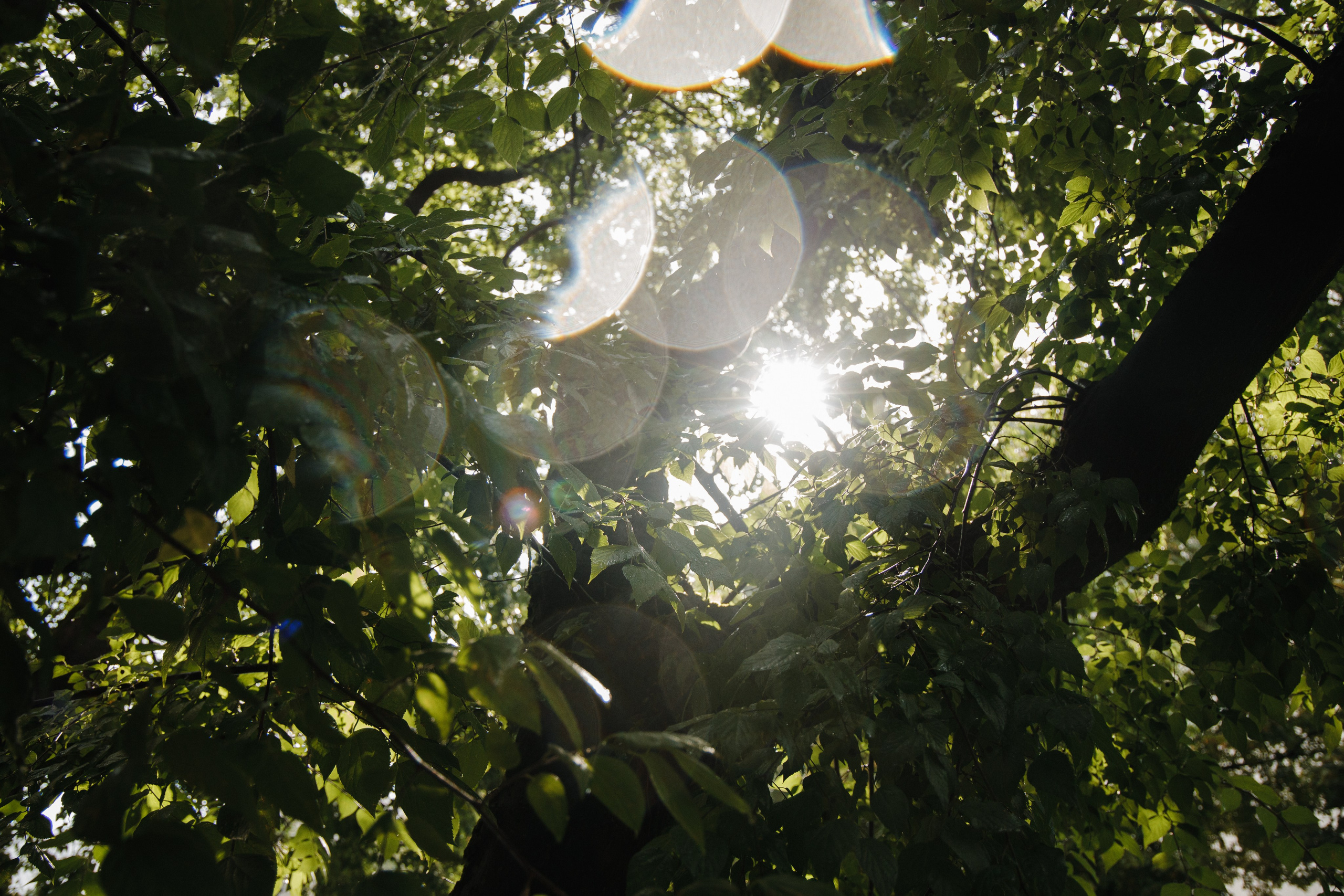 Денис и Диана. Главная