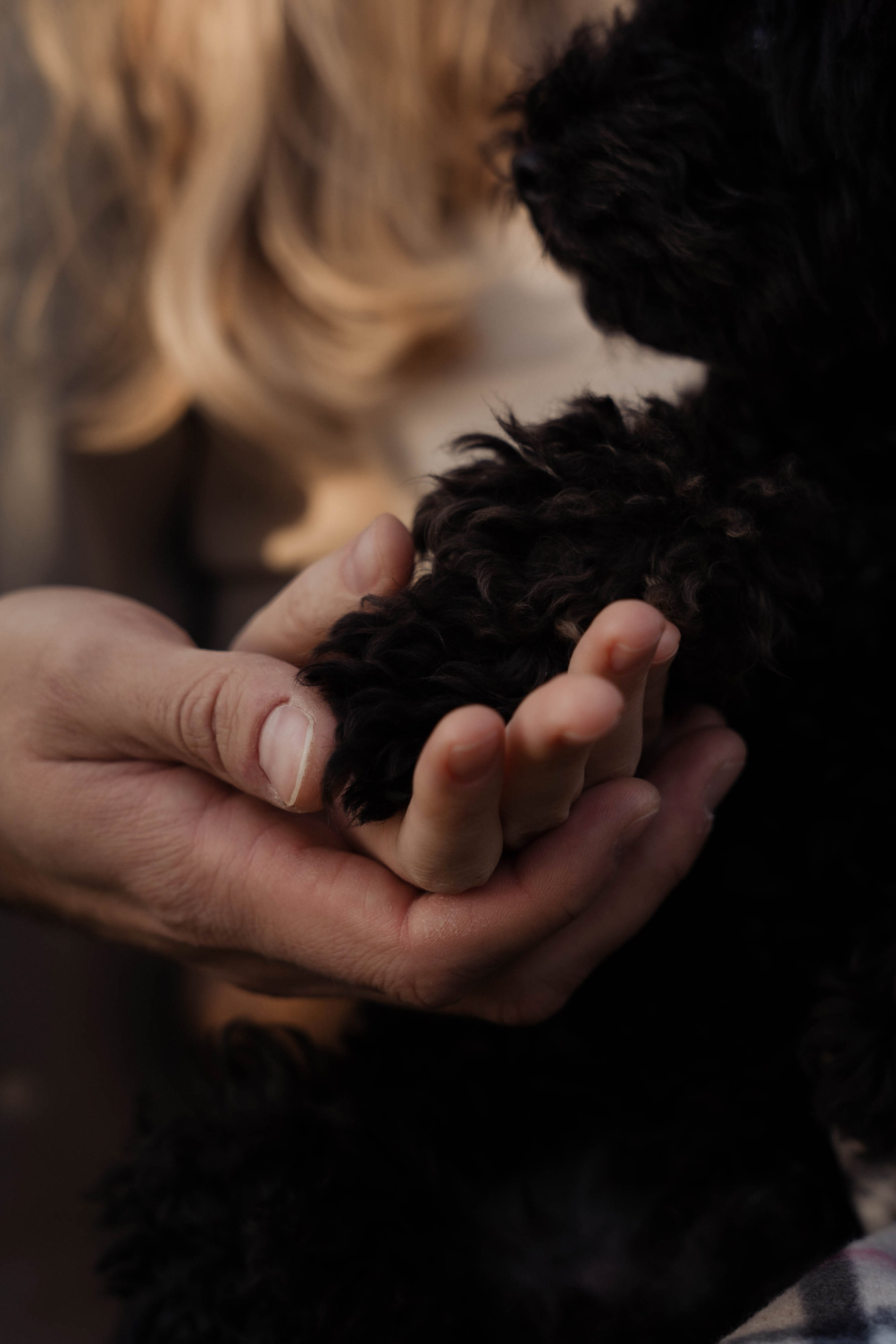 Семейные истории. ФОТОГРАФ КСЕНИЯ СОСНОВСКАЯ