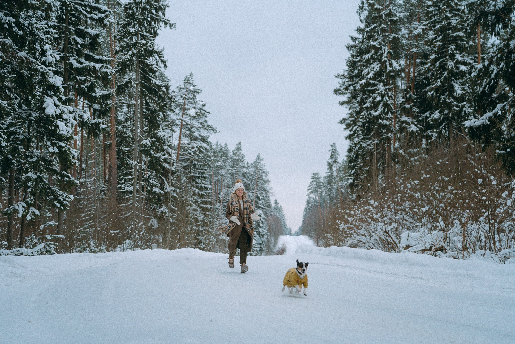 Алина, Ваниль и Элис. Фотограф анималист в Москве и Санкт-Петербурге Свиридова Анна