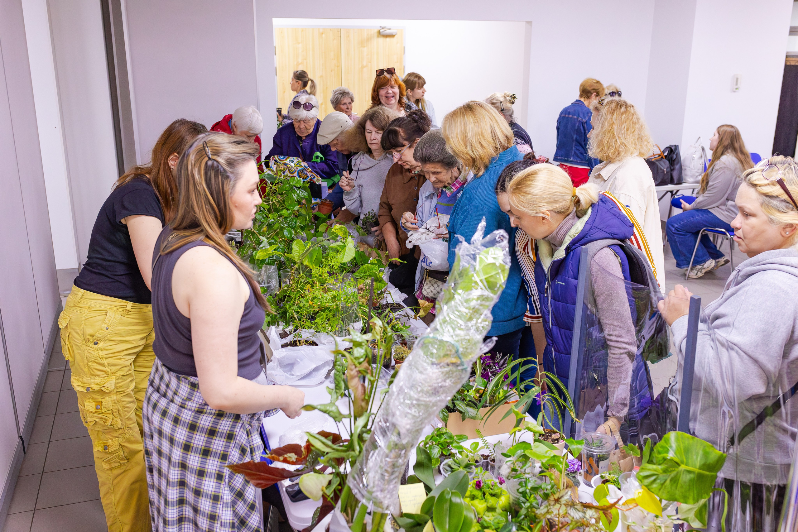 Орхидиум сентябрь 2025. Александра Куликова фотограф, Москва