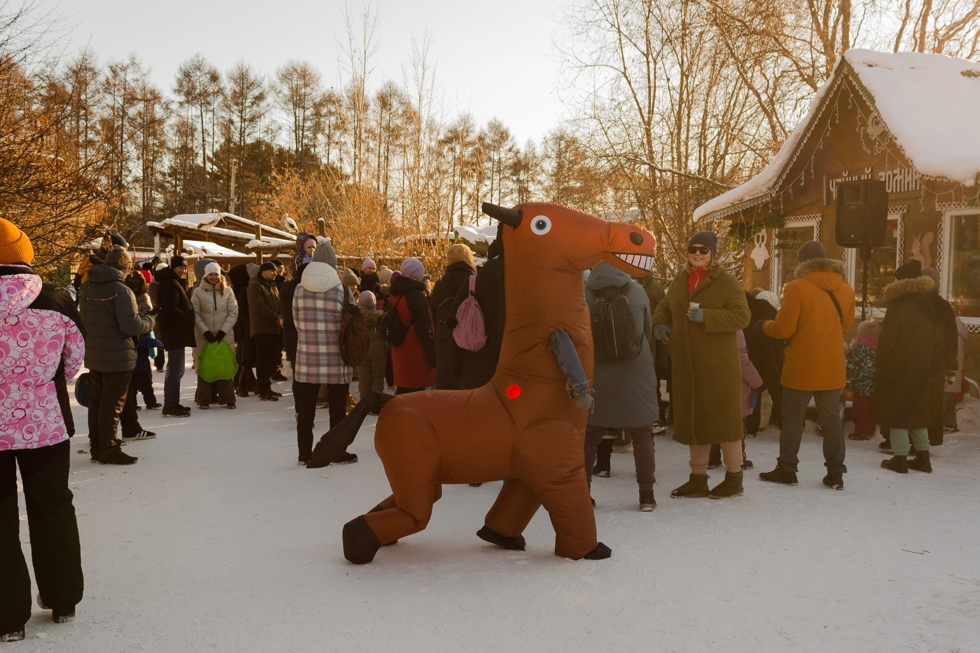 Новогодний праздник в Иркутском Зоосаде. Борщевская Елизавета / фотограф Иркутск