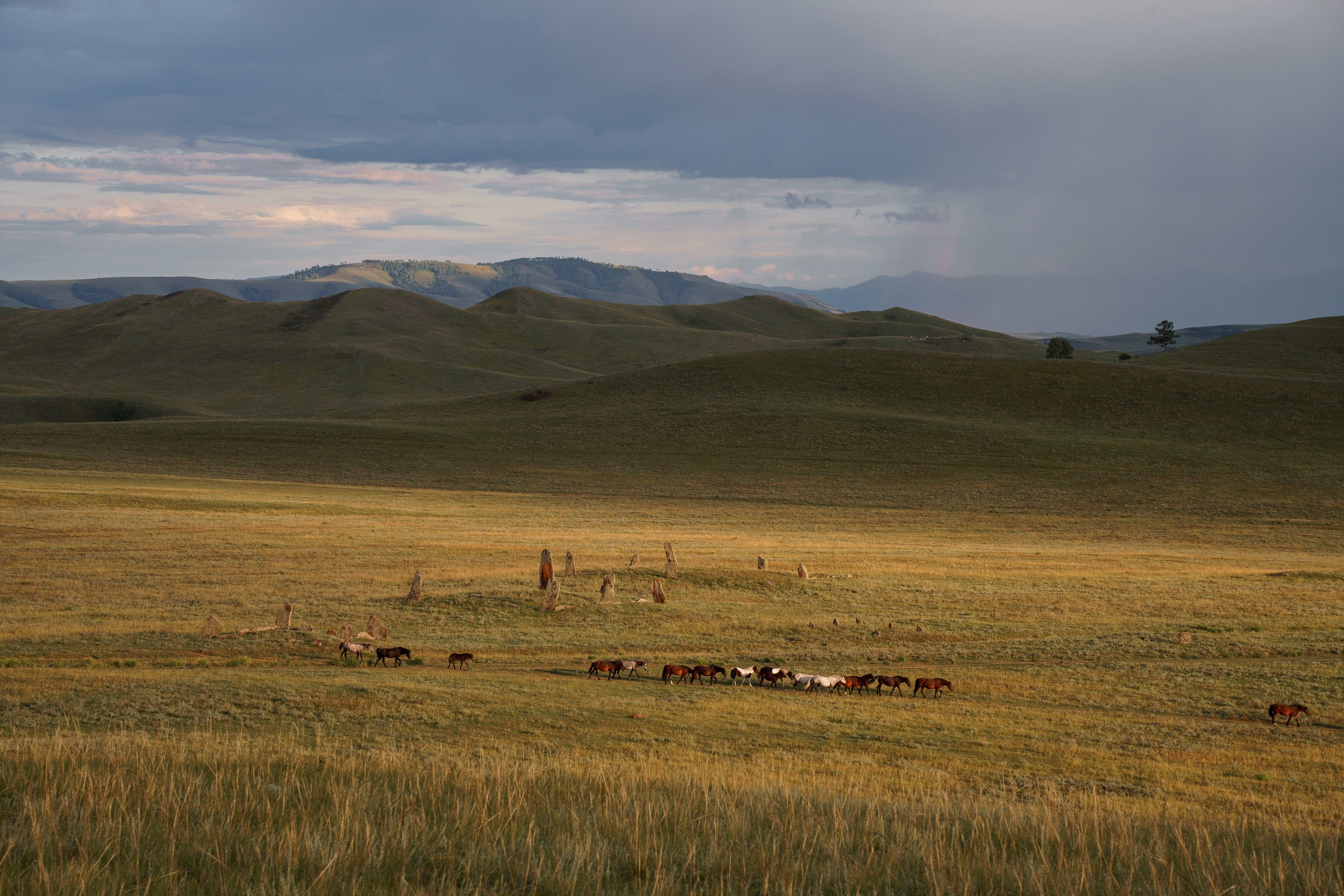 Хакасия. Фотограф в Красноярске Нерозя Александр. Пейзаж, природа, портрет