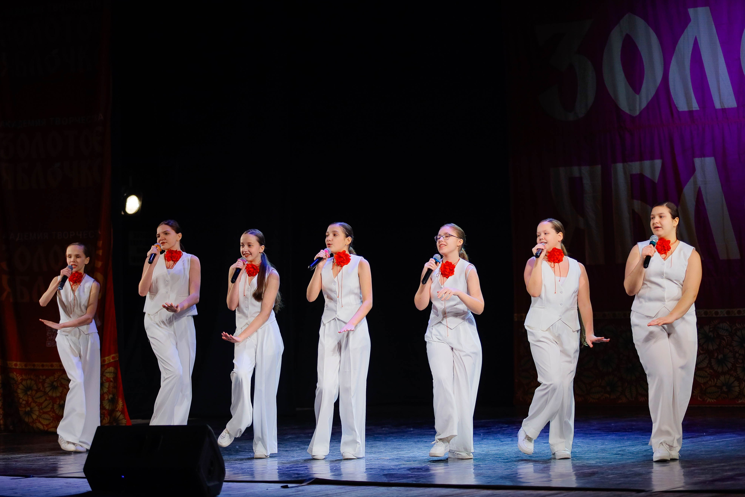 9 февраля, г. Петрозаводск. Золотое яблочко