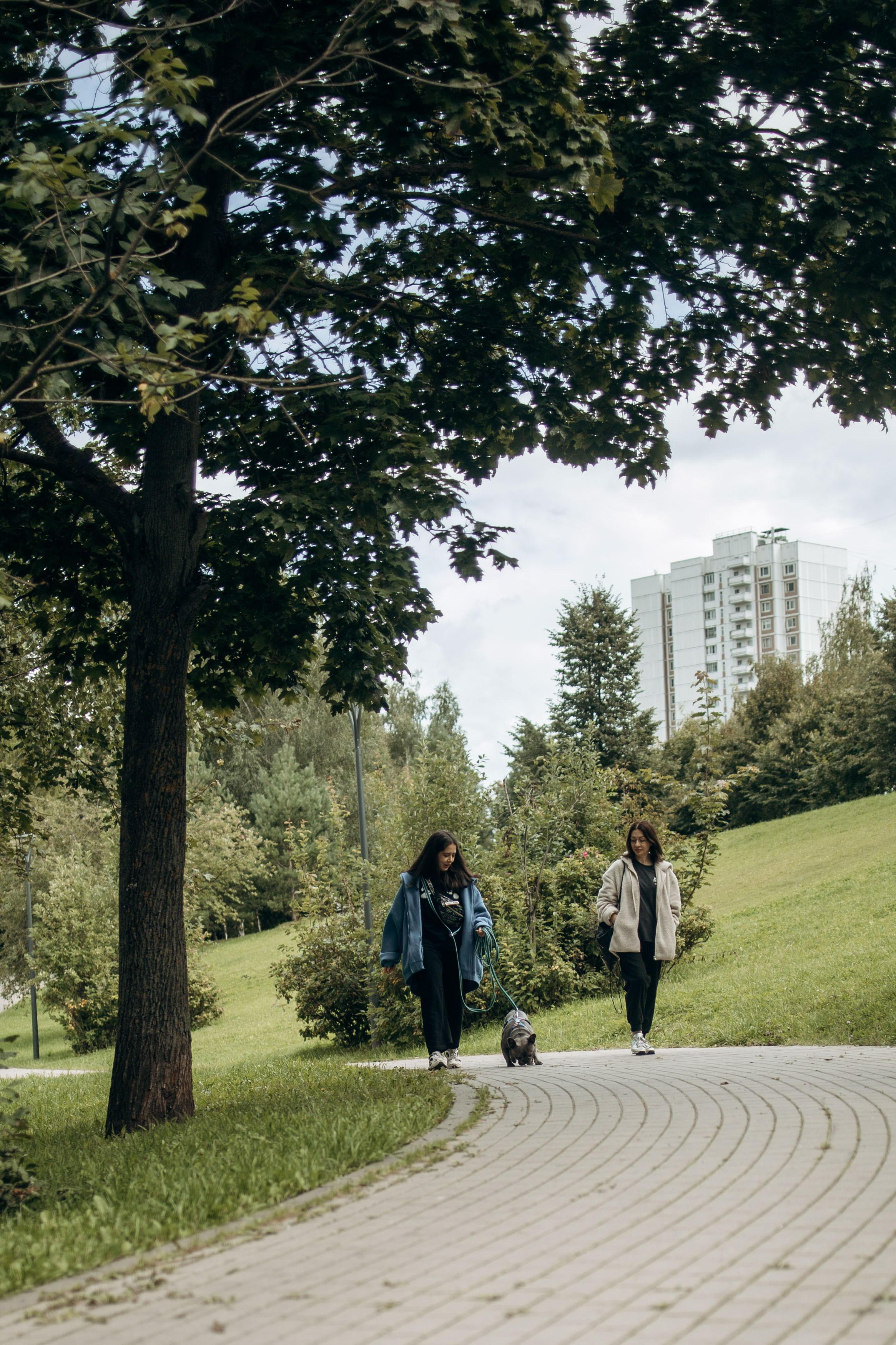 Грей и его семья