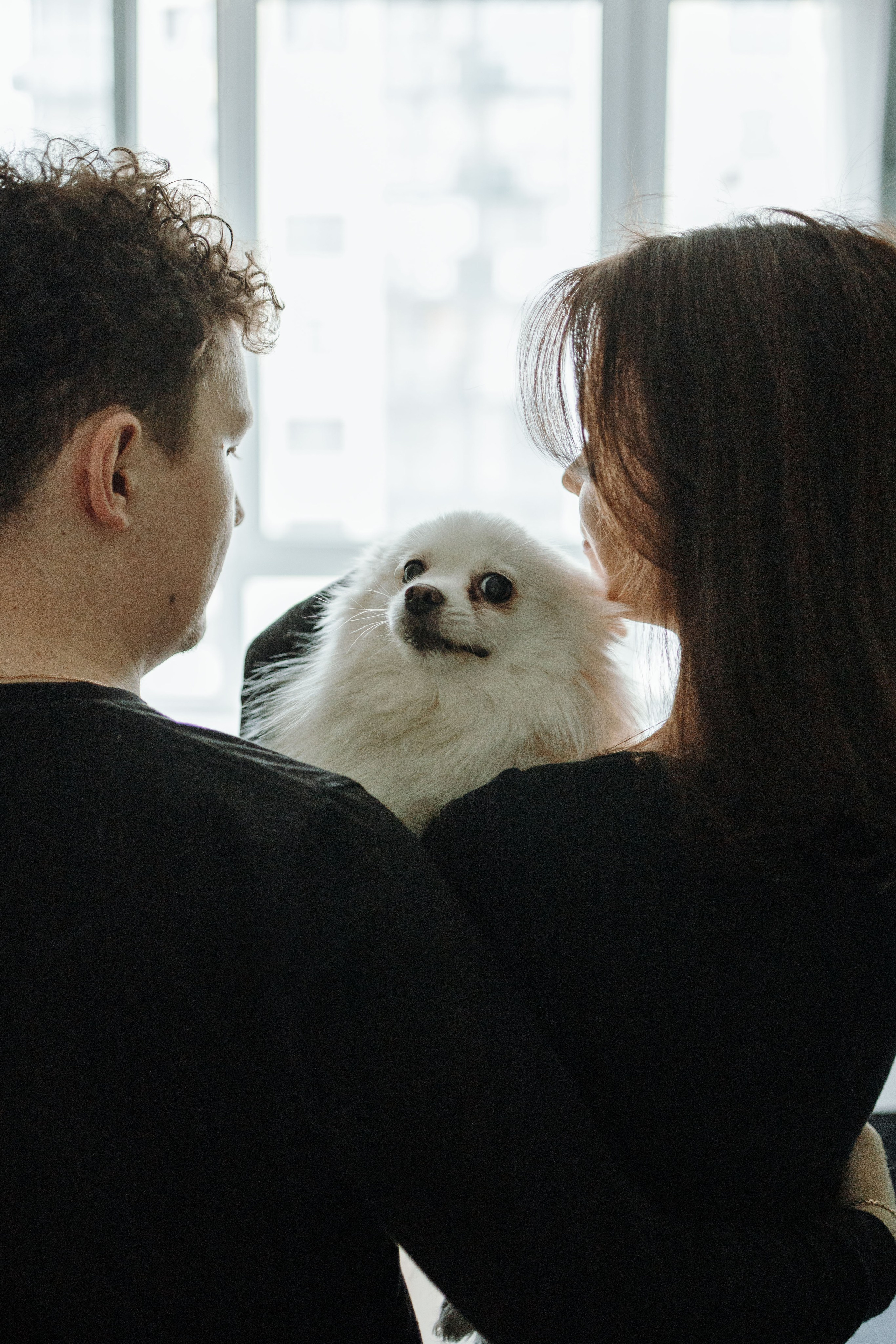 Шпиц Мася и ее семья