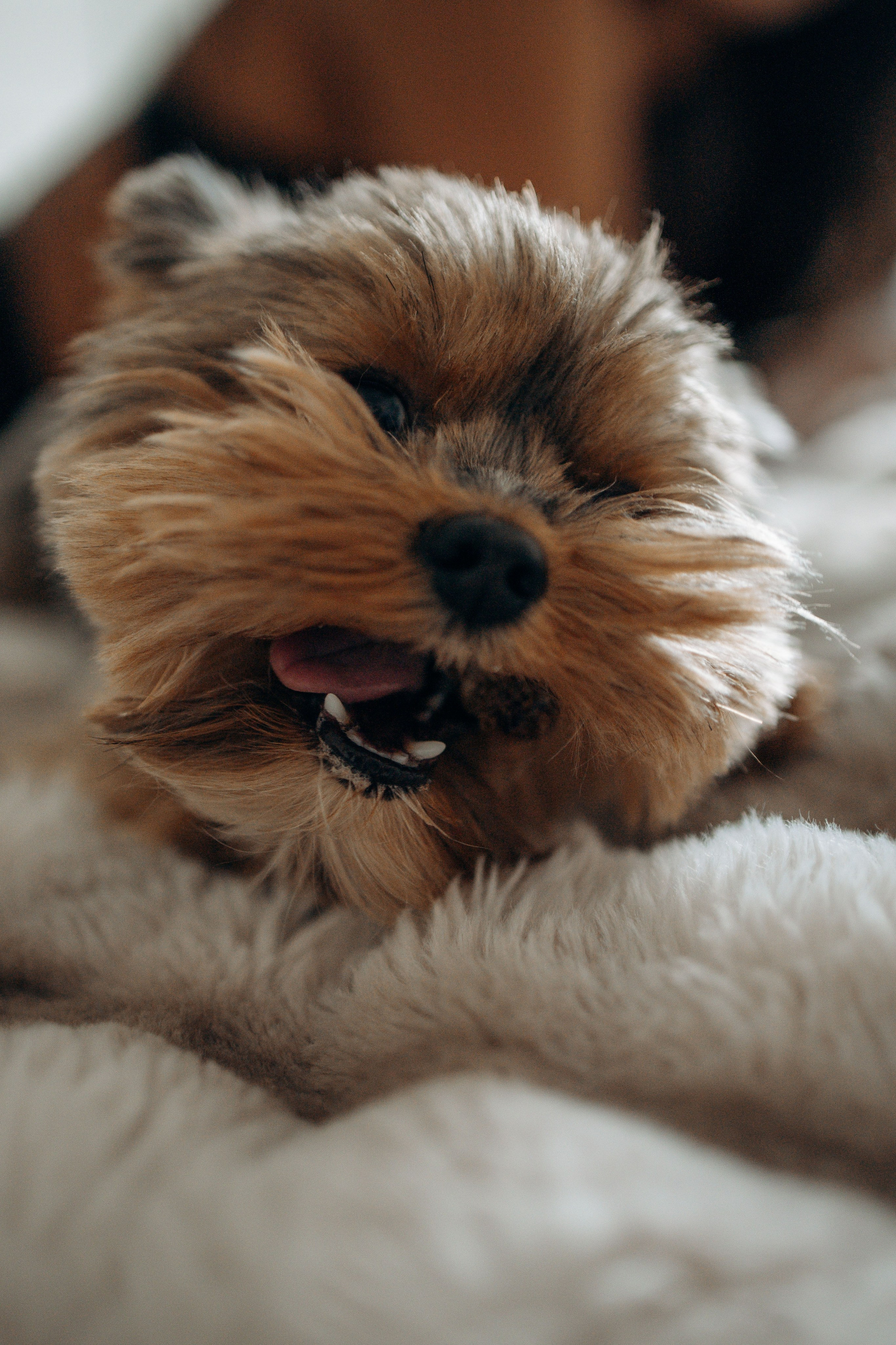 Настя и Йося