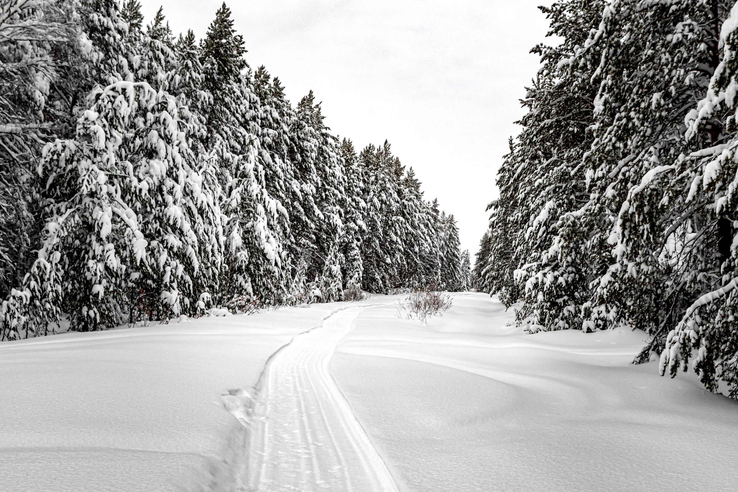 Зима. Фотограф в с. Ижма Республика Коми Терентьев Сергей
