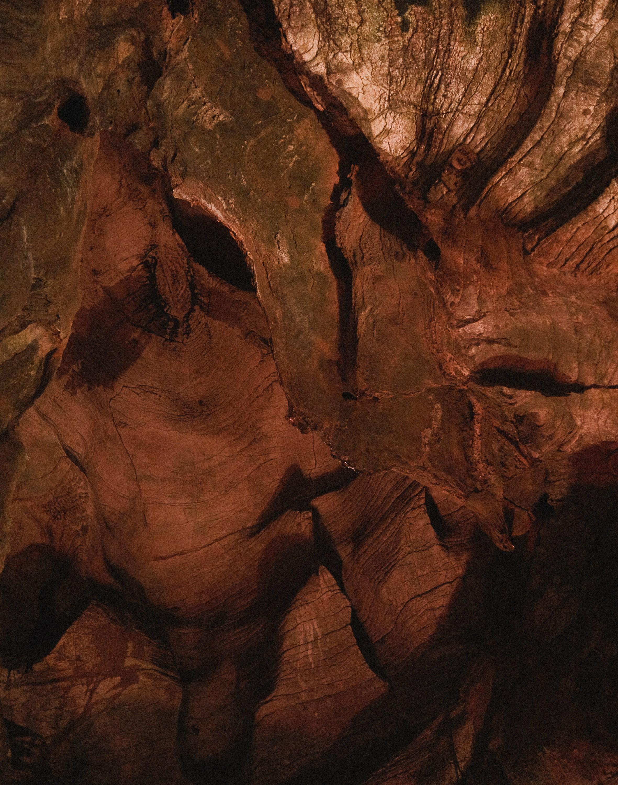 Одно целое. Семейный и свадебный фотограф в Краснодаре