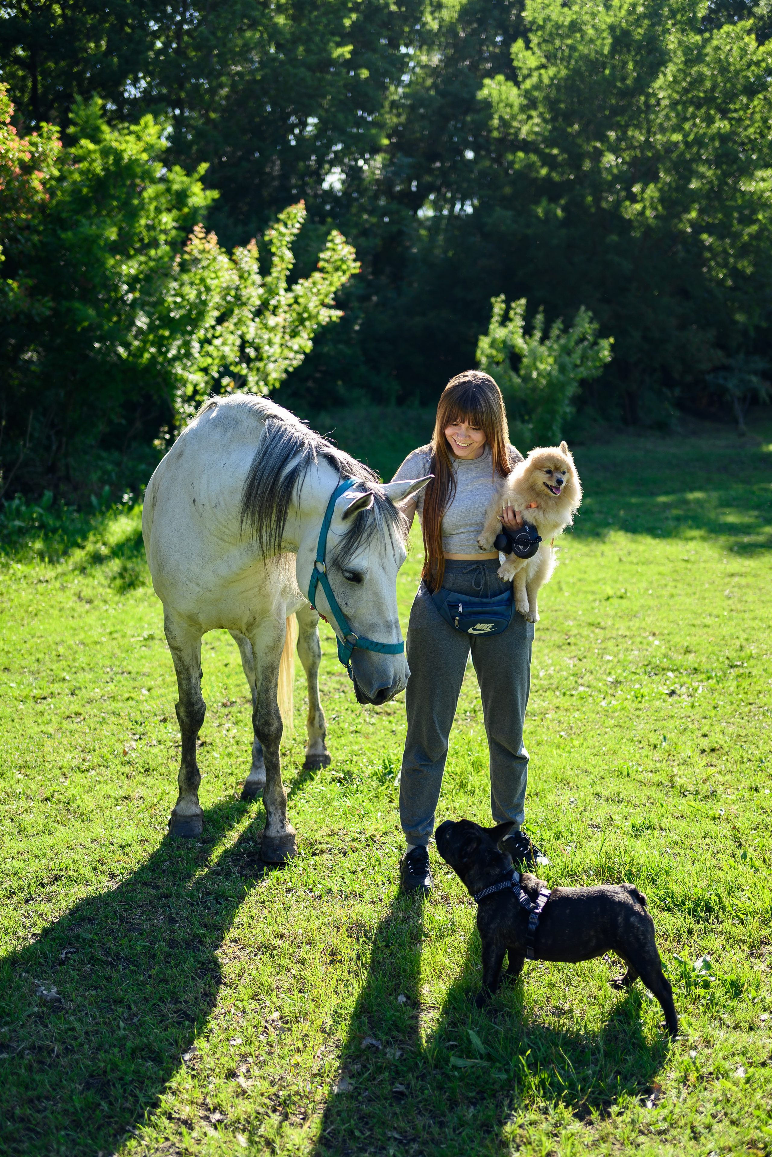 Фотосессии с собаками. Фотограф Краснодар Наталья Сувит