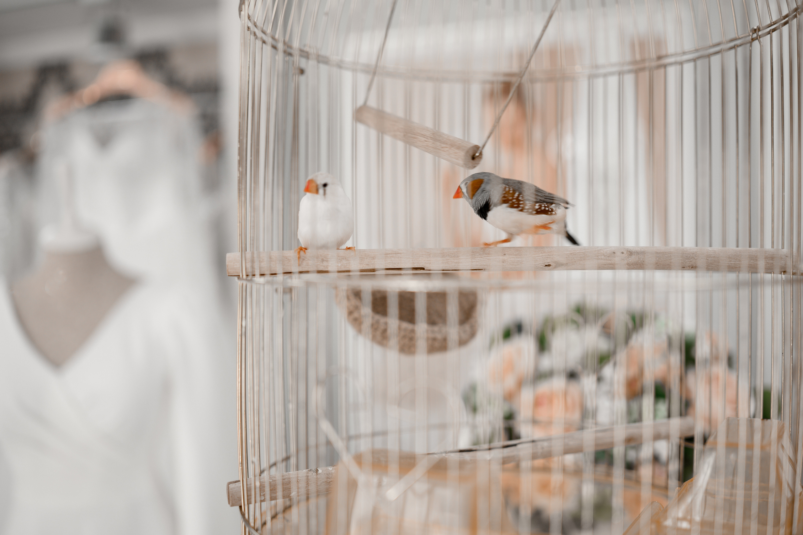 Александр и Катерина. Свадебный и Семейный фотограф в Абакане, Красноярске