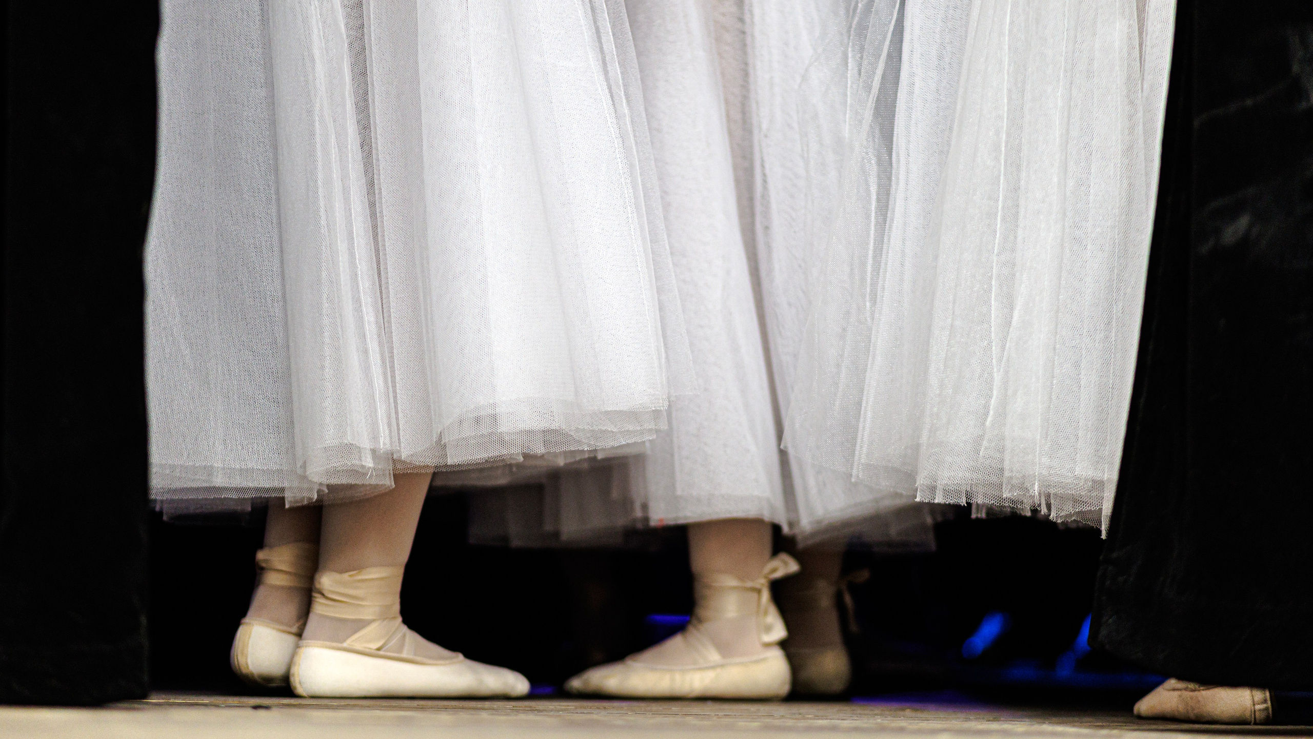 МОСКОВСКАЯ СТУДЕНЧЕСКАЯ ВЕСНА 2026. Artem Zenin Photography