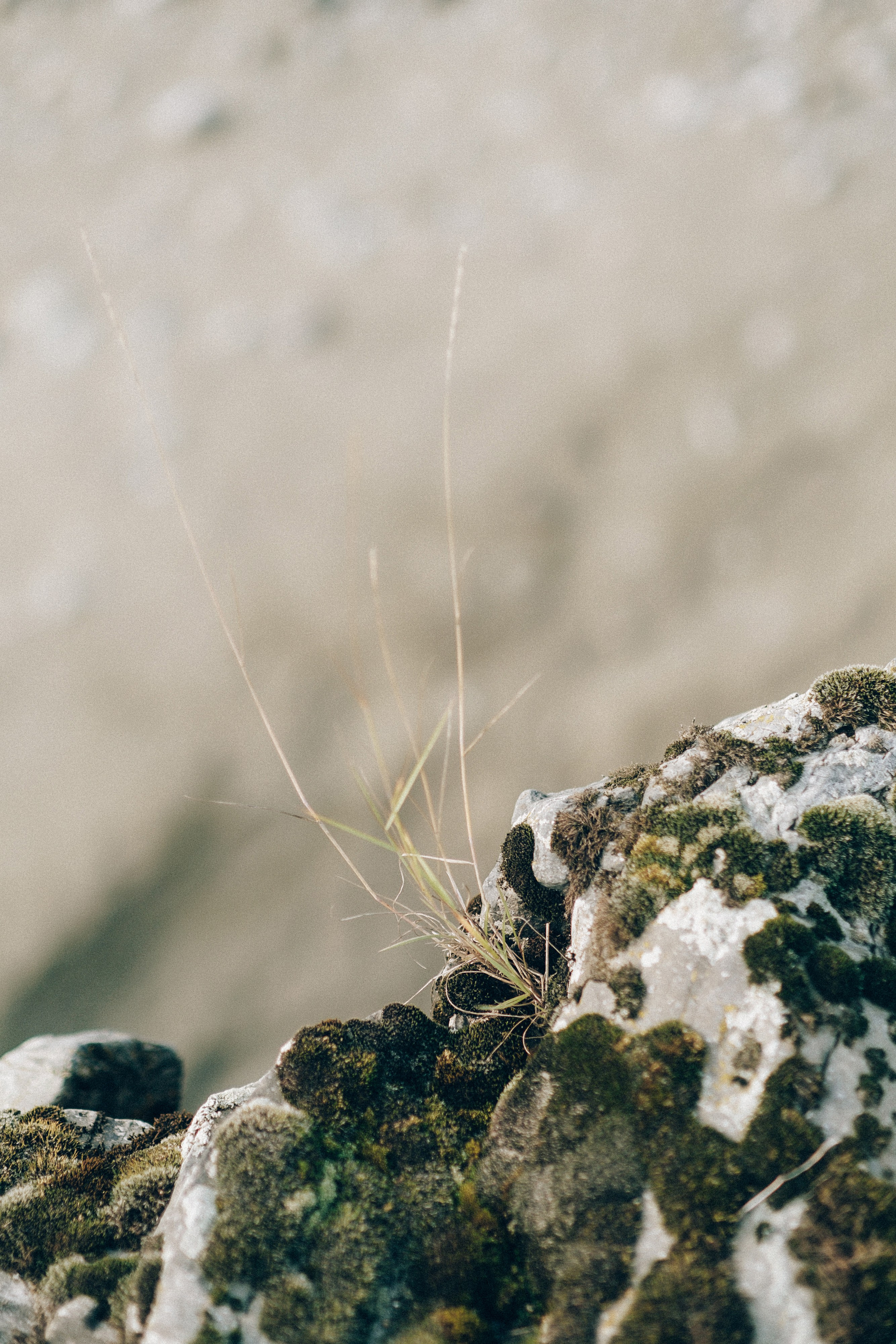 Горы. Свадебный и семейный фотограф Барнаул Рубцовск Бийск Алтайский край