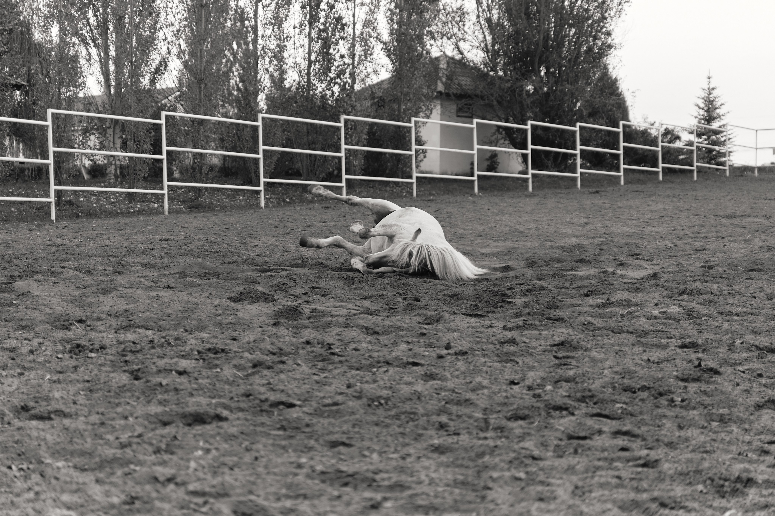 Alyona & Artemiy. Фотограф Дарья Зайцева