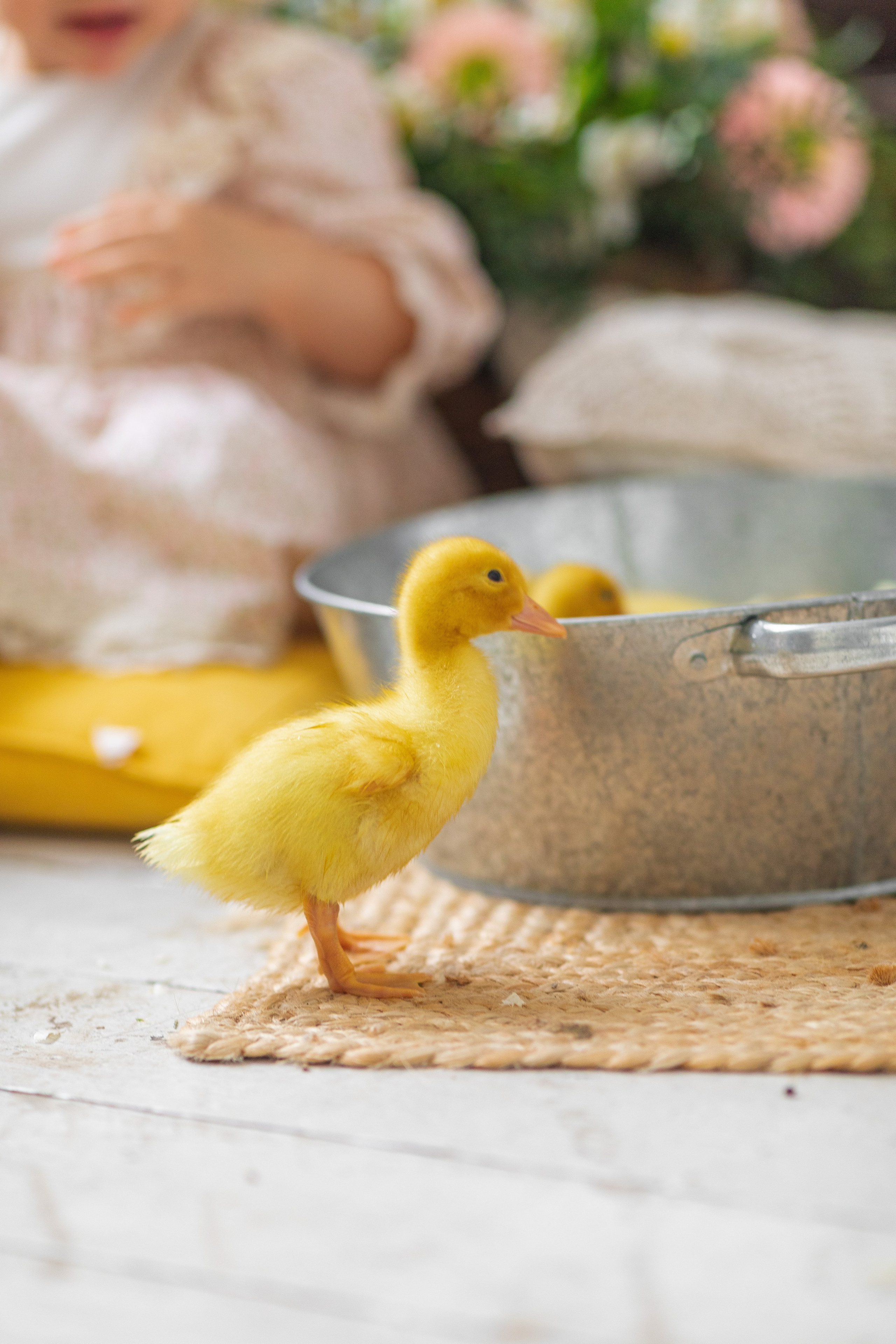 С животными. A.Novinskaya