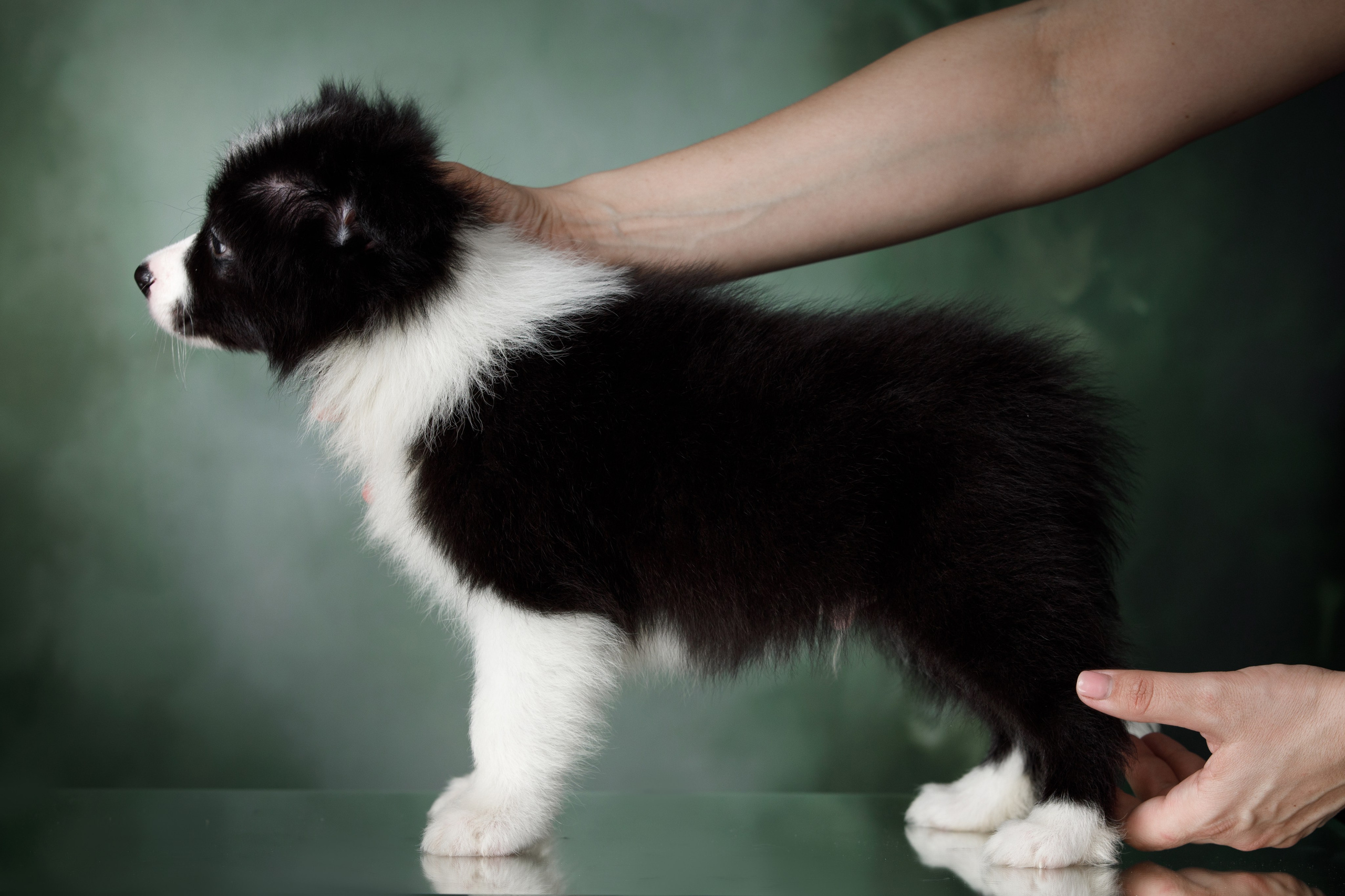 Март. Весна. 22. О нас