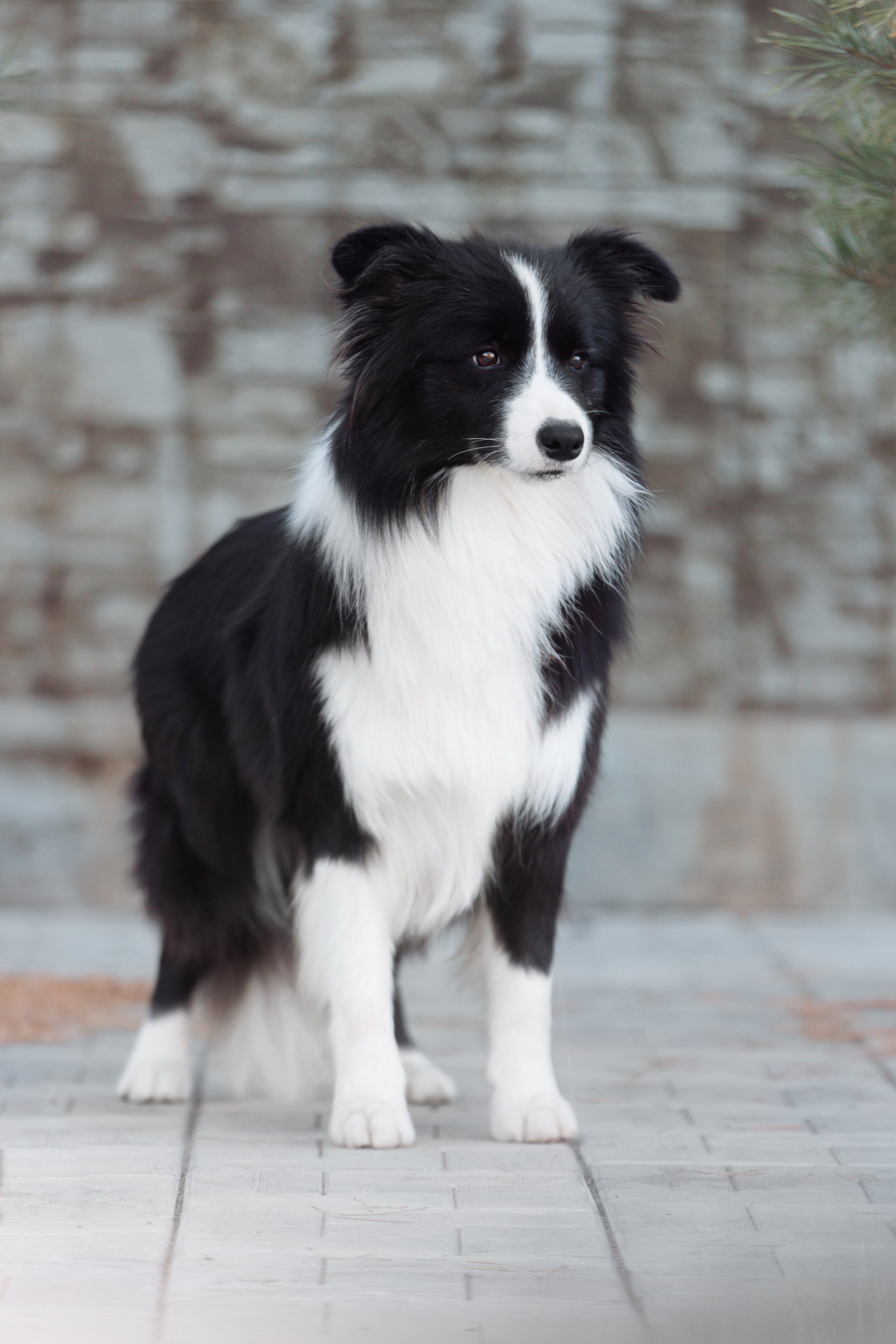 У дома с большой компанией от мала до велика. О нас