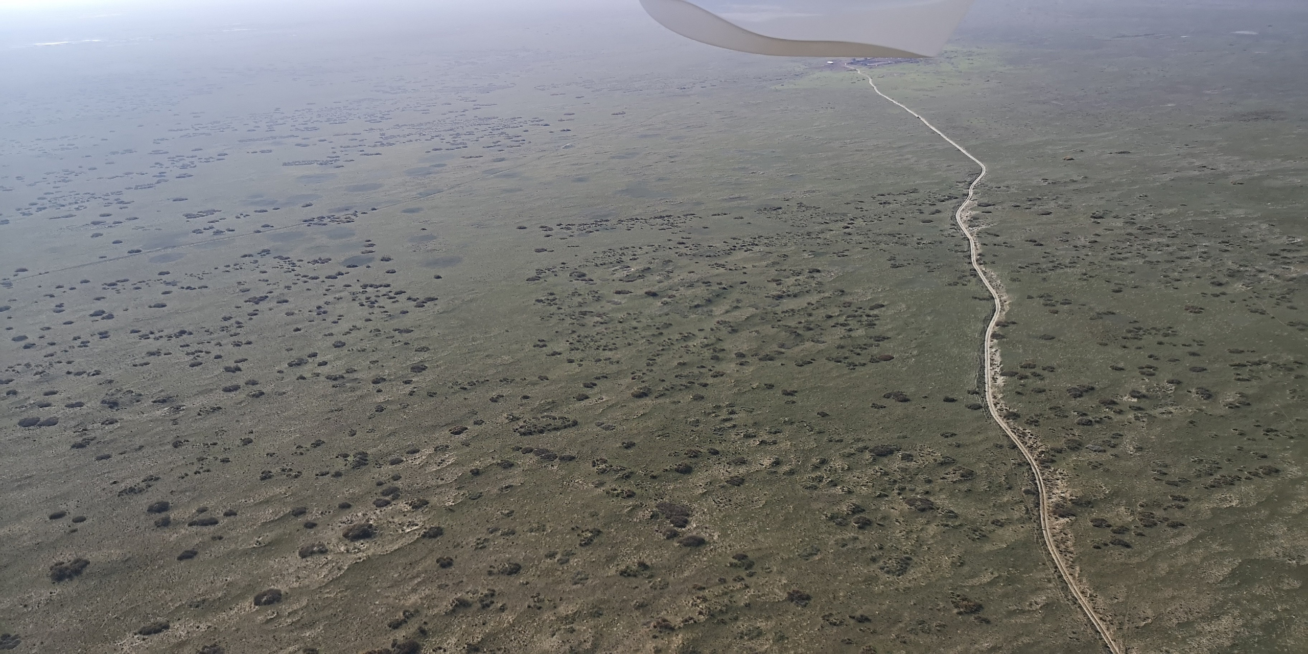 Каспийское море (наука на Ла-8) (2021 г.). Фотоальбом показывающий увлекательный мир авиации и мир медведей Андрея Иванова