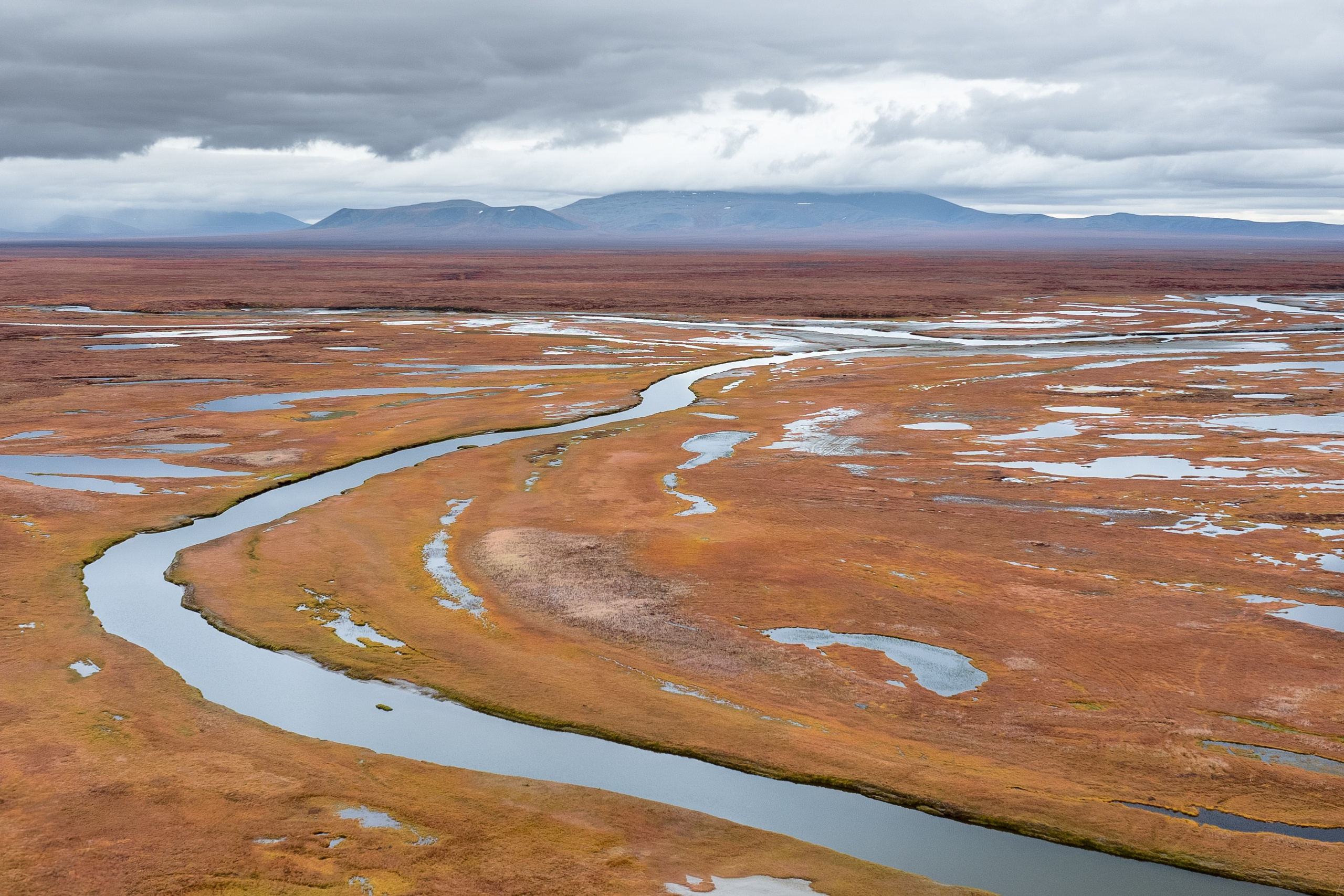 Чукотка. Andrew Gusarov Nature Photography