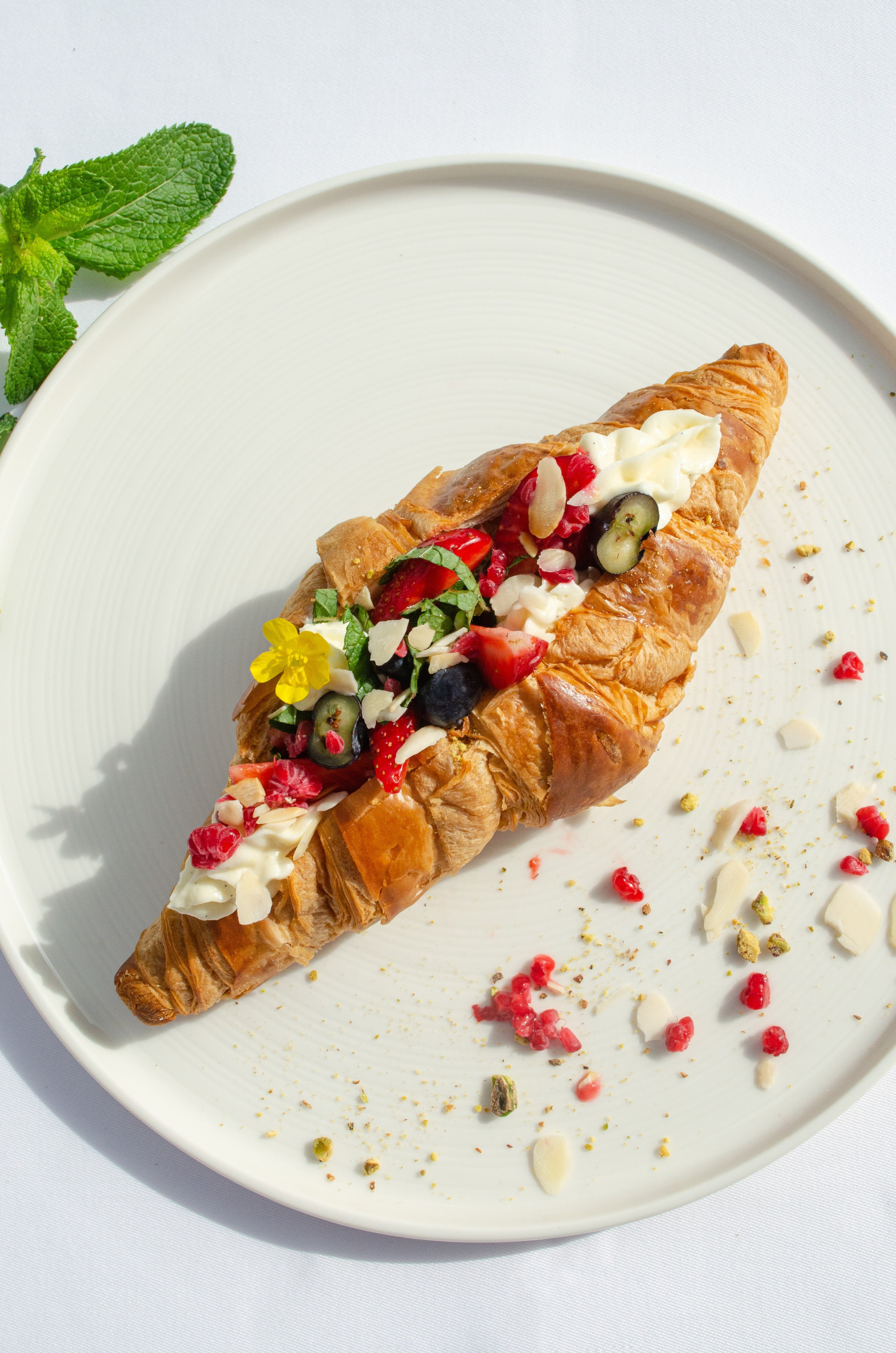 Роза Хутор Modys ресторан. Фотограф