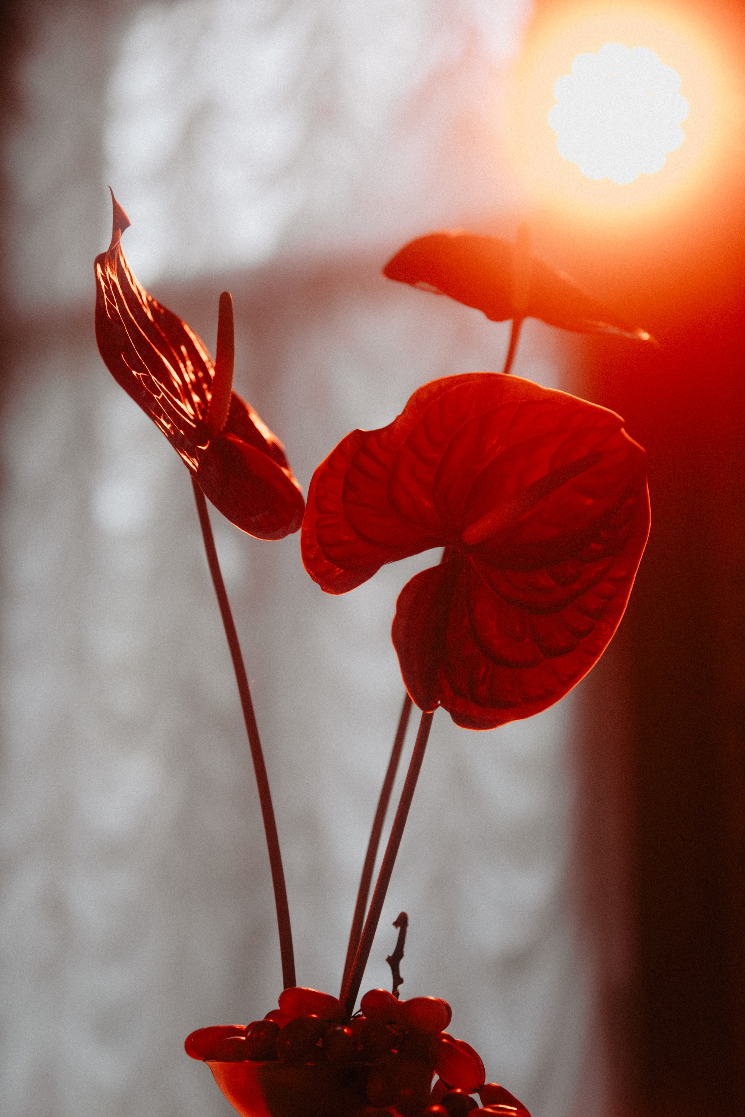 Свадьба во дворце. Фотограф Муратова Алена