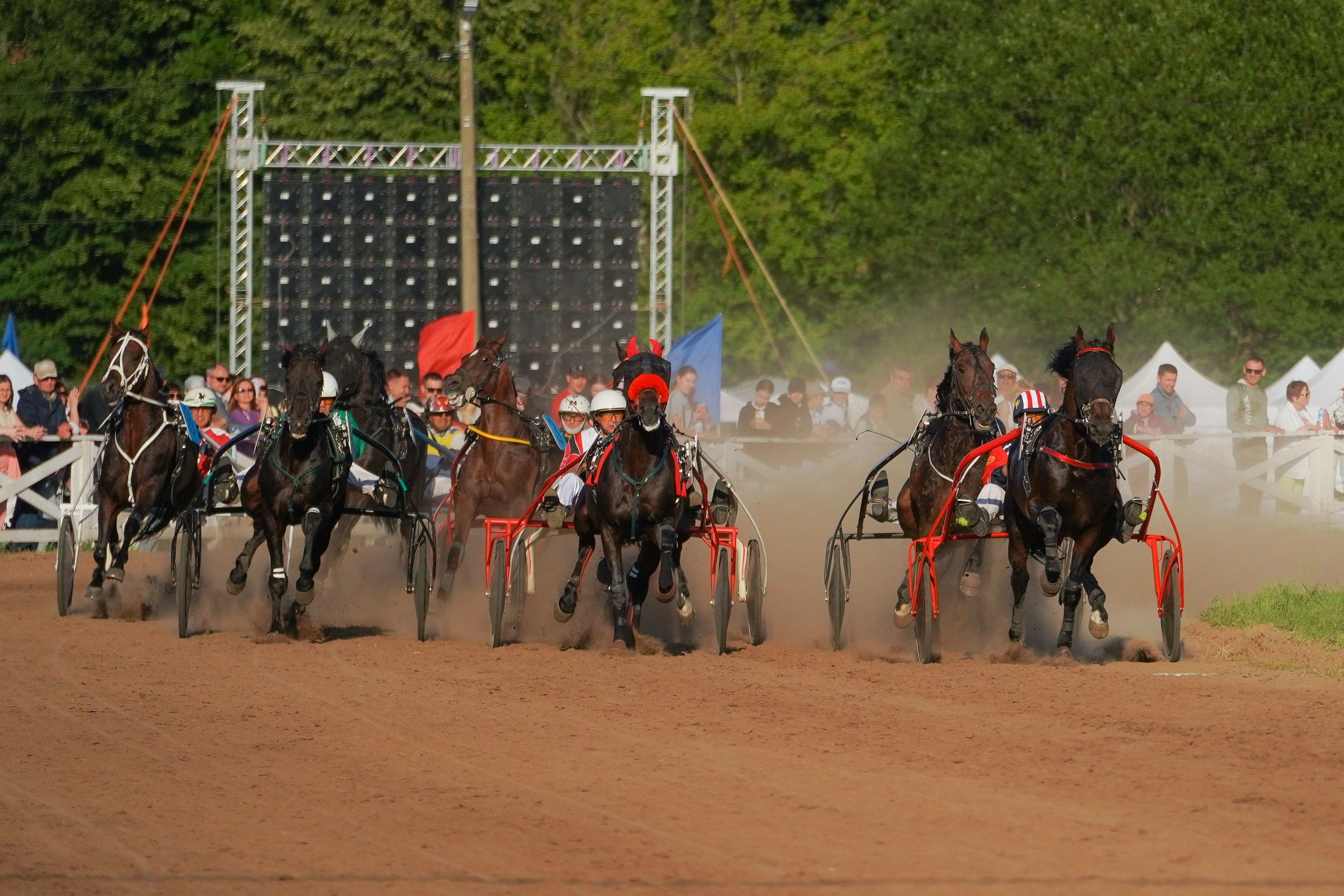 III конные бега на Кубок Главы Чувашии. Фотограф-анималист, портретный фотограф в Чебоксарах Мария Садыкова