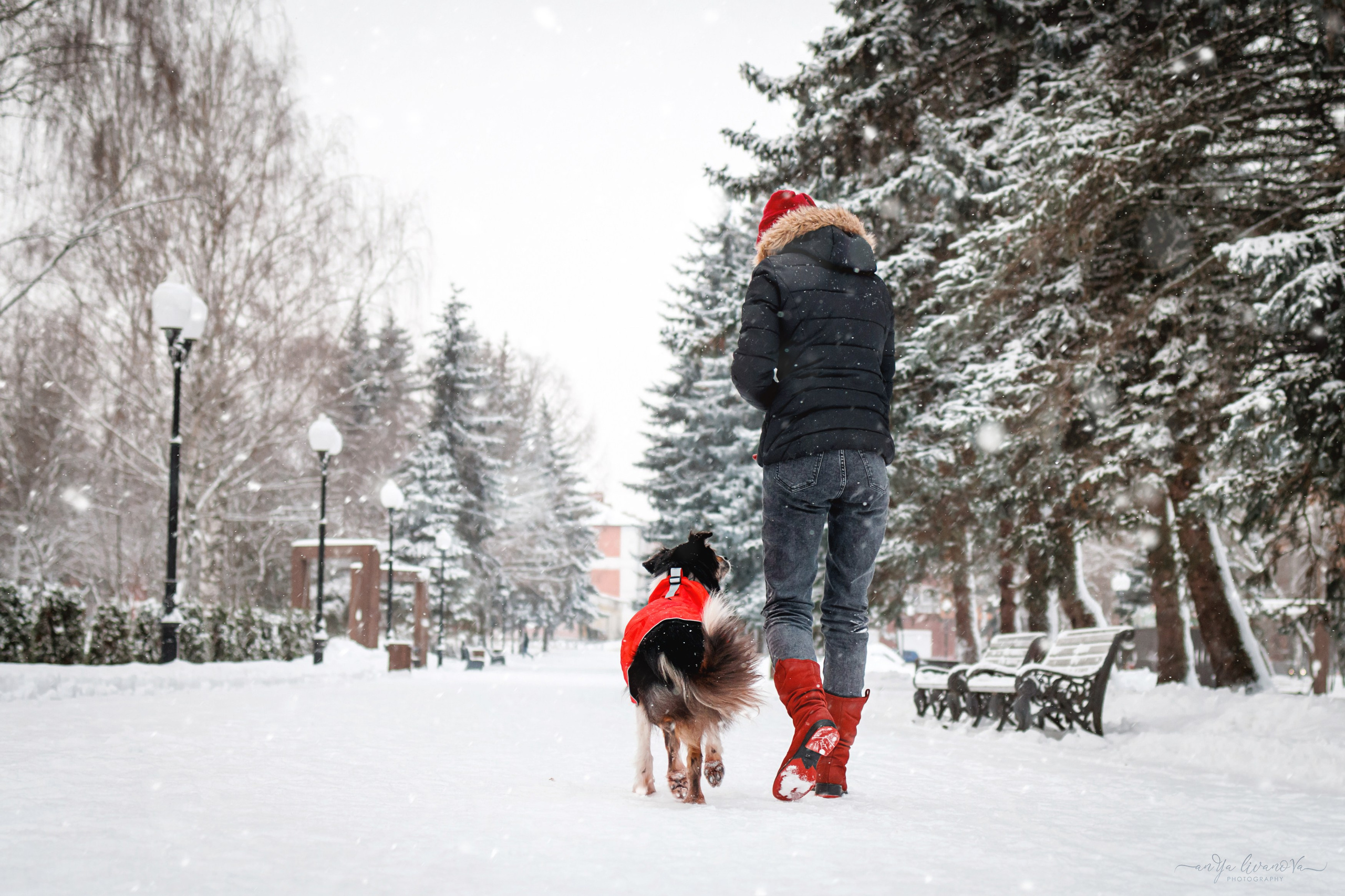 Рокки. Фотограф анималист Аня Ливанова | Рыбинск