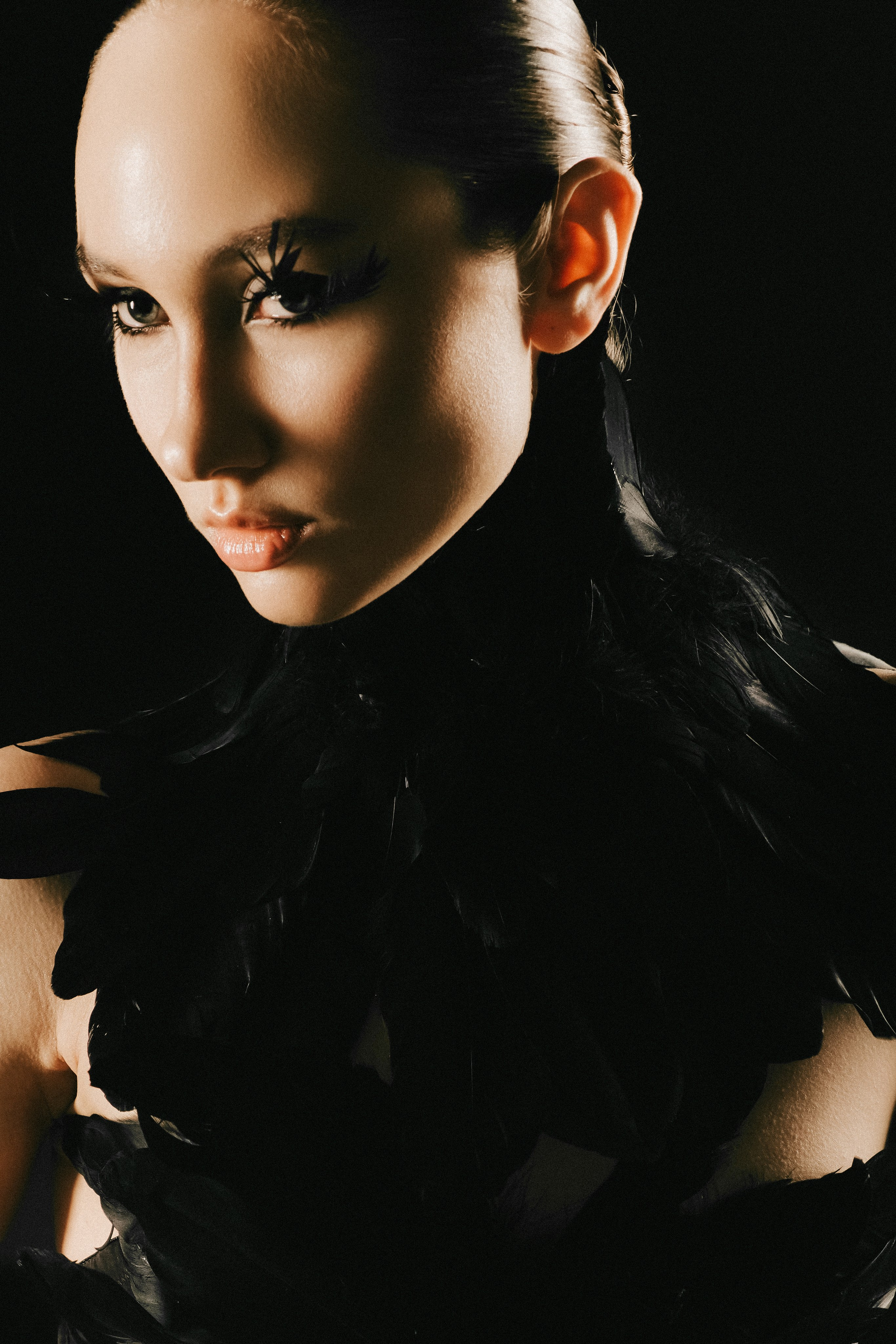 Черный лебедь. Фотограф Санкт-Петербург Лиза Артти