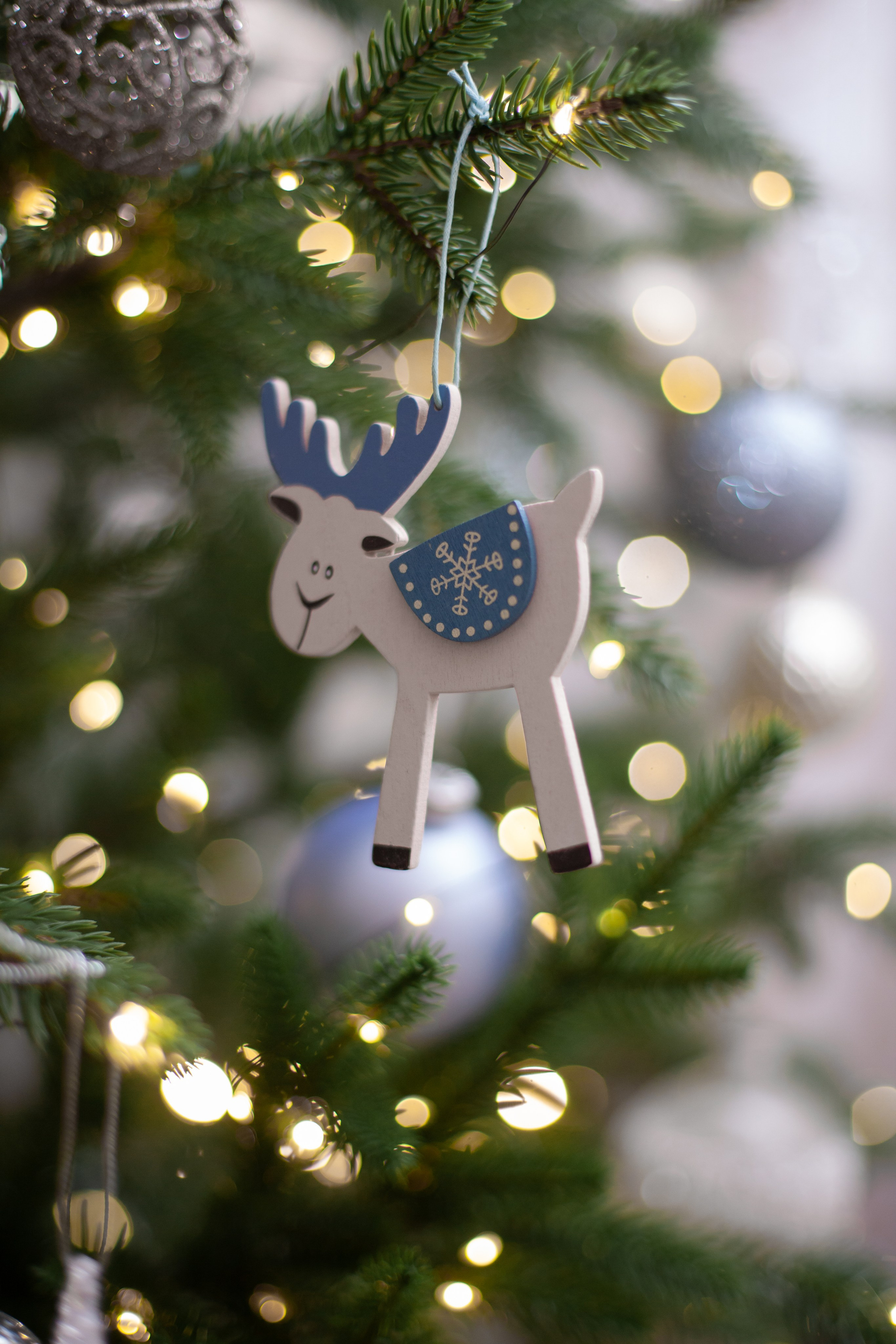 Домашняя. Фотограф в Томске Евгения Гуляева