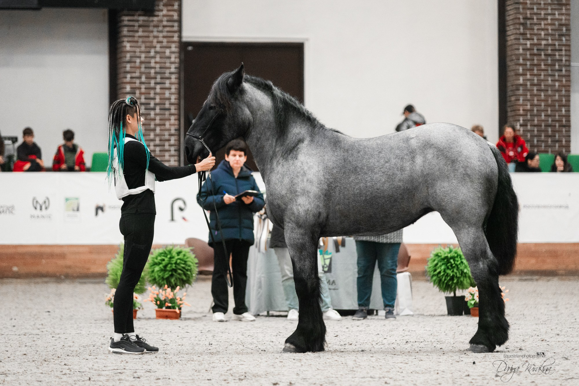 8-я международная выставка Конная Россия. Конный фотограф Куракина Дарья • Фотосессии с лошадьми